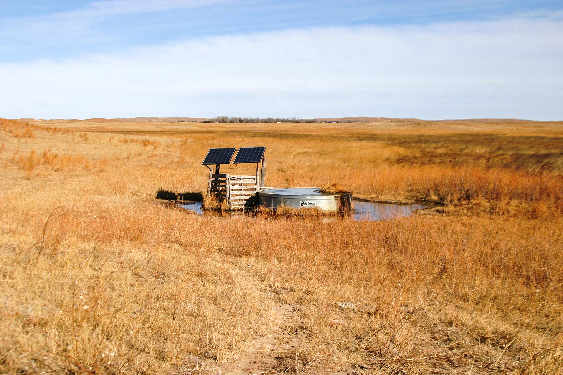 Pettit Ranch property picture 35 of 43