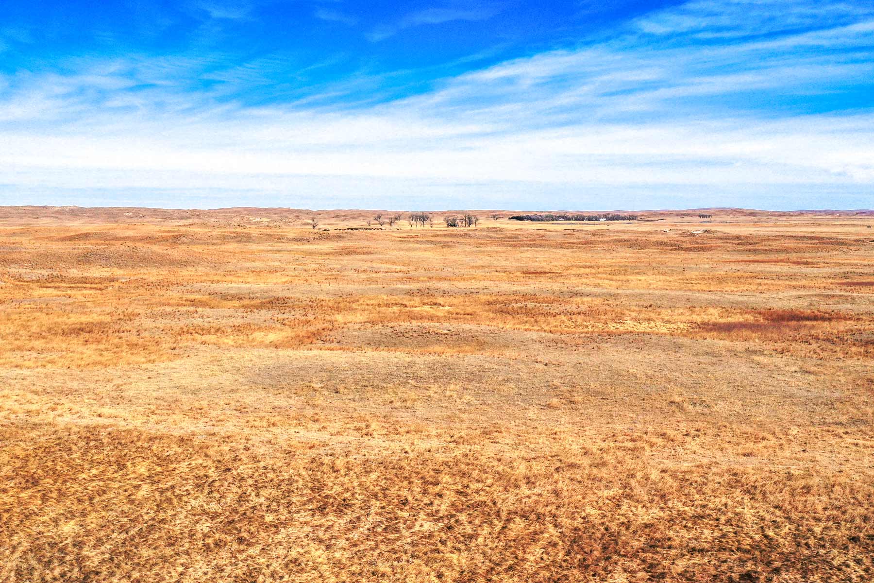Pettit Ranch property picture 33 of 43