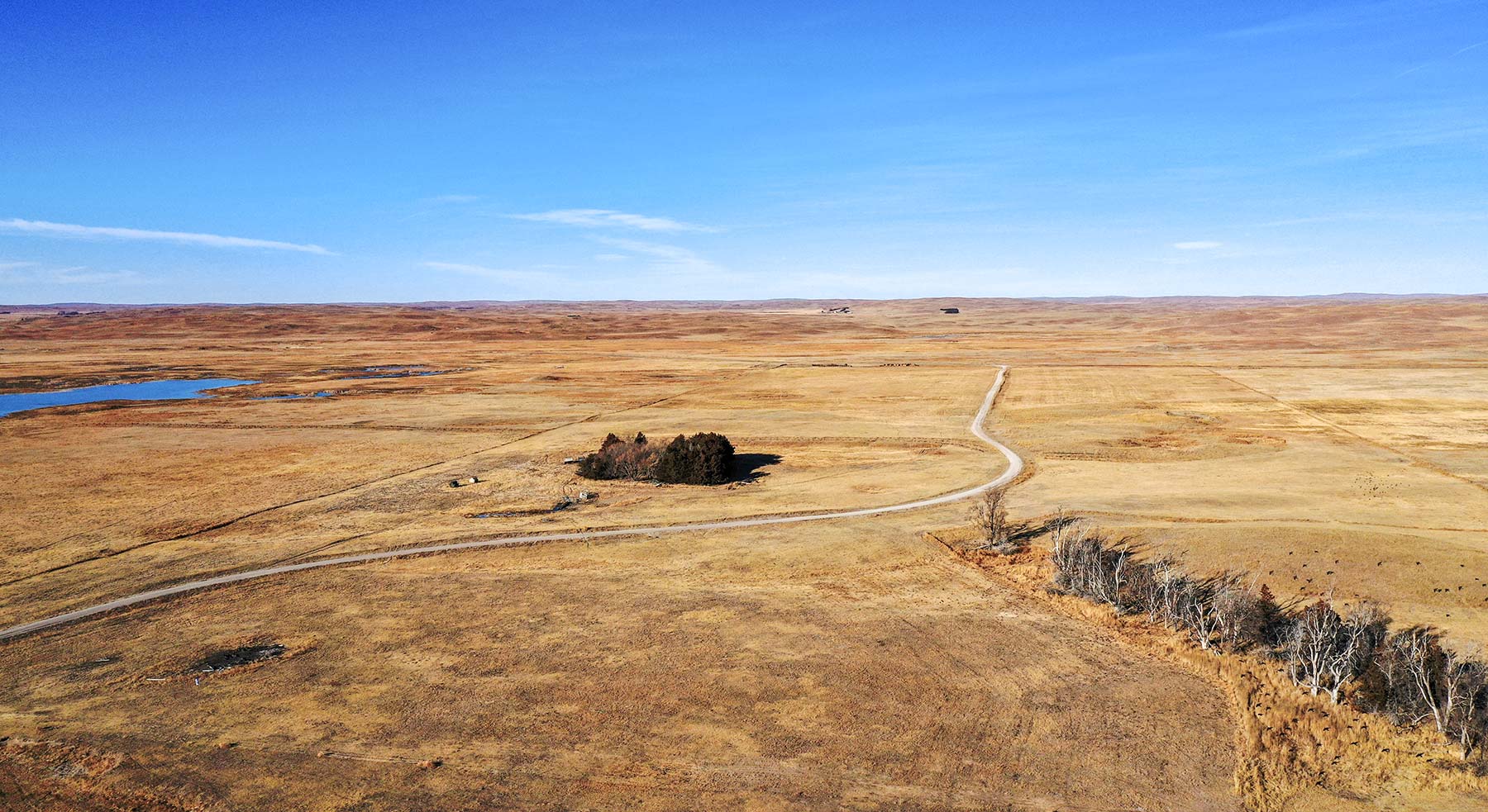 Pettit Ranch property picture 9 of 43