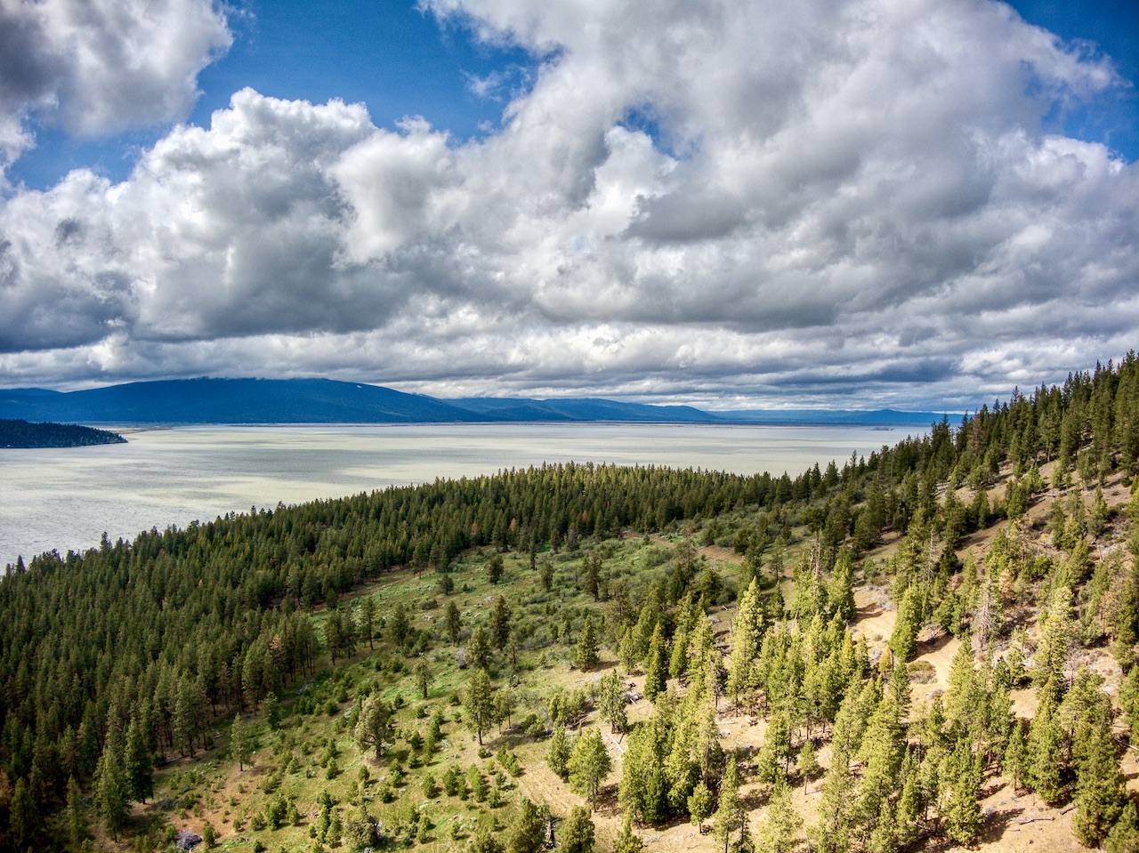 Rock Creek Ranch property picture 82 of 106