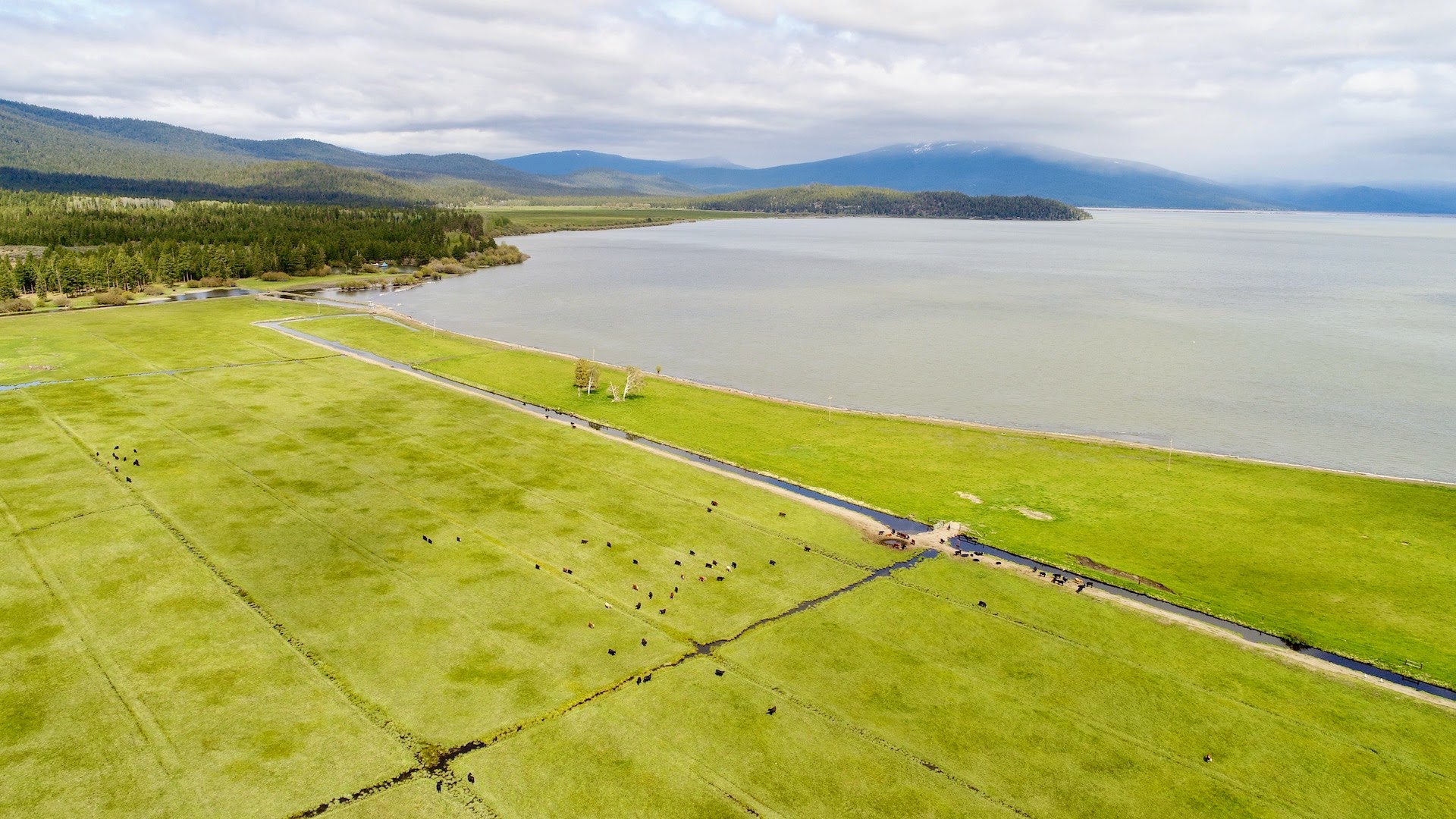 Rock Creek Ranch property picture 16 of 106