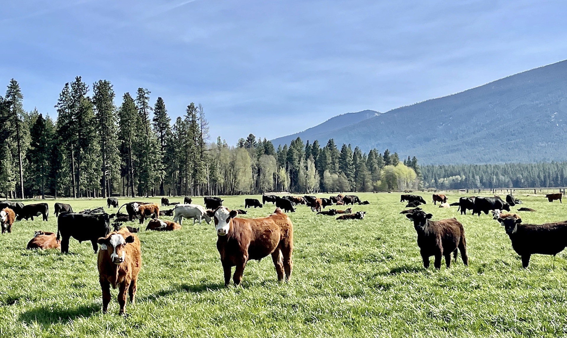 Rock Creek Ranch property picture 57 of 106