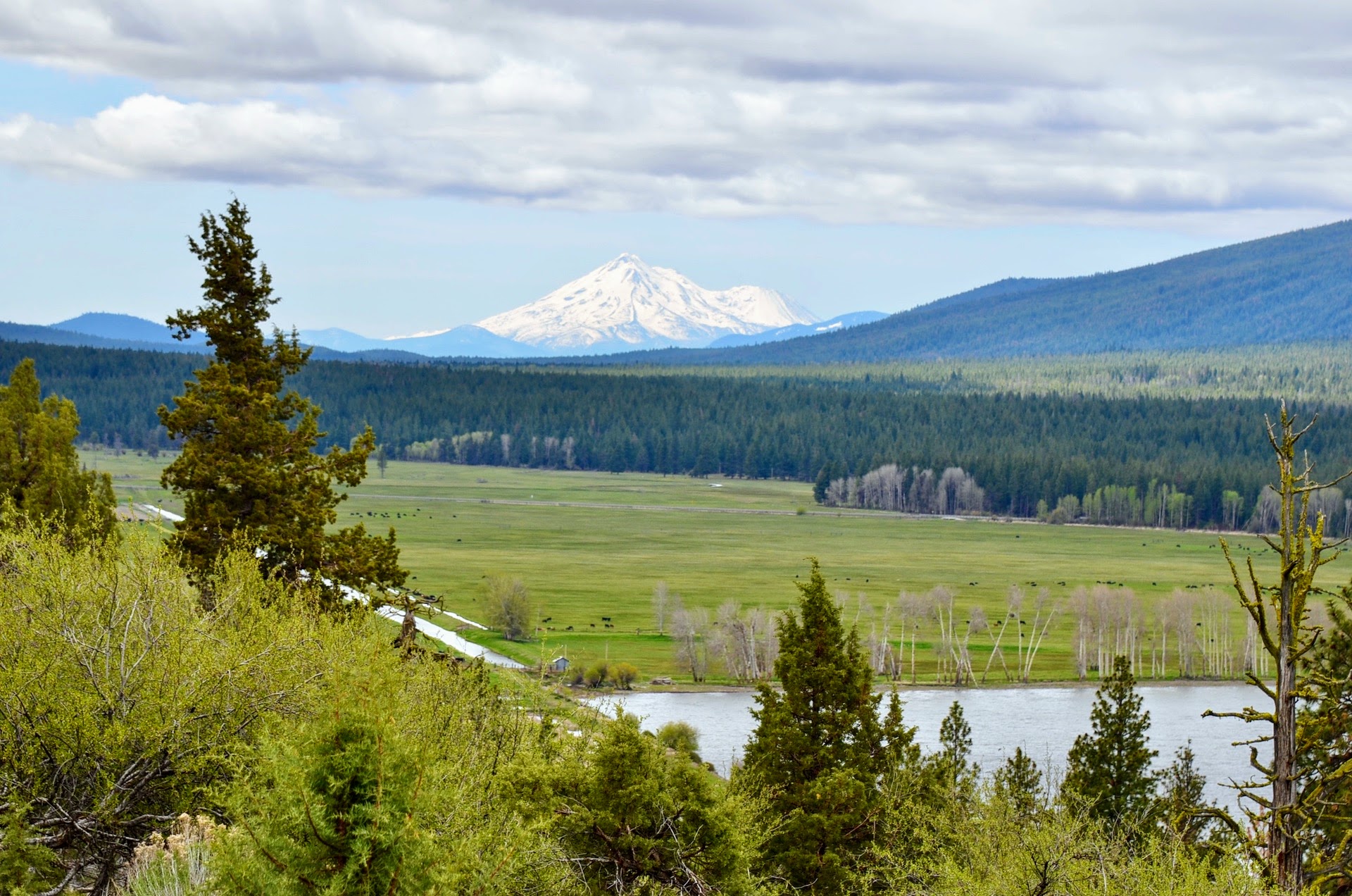 Rock Creek Ranch property picture 21 of 106