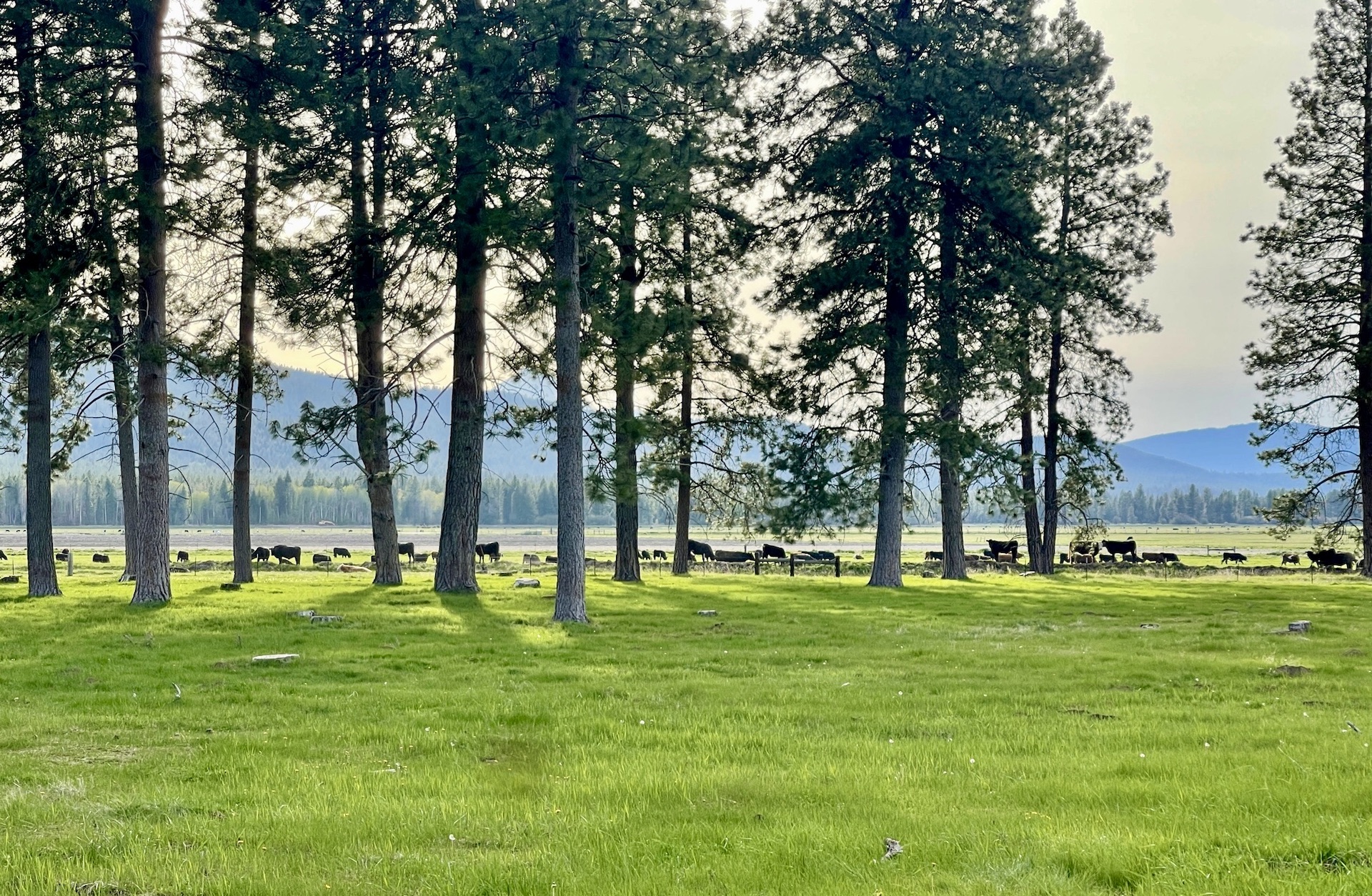 Rock Creek Ranch property picture 56 of 106