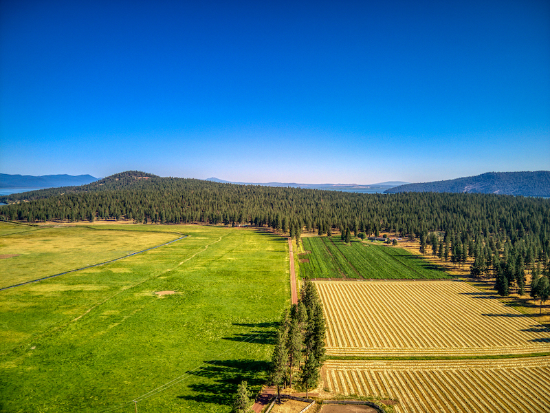 Rock Creek Ranch property picture 88 of 106