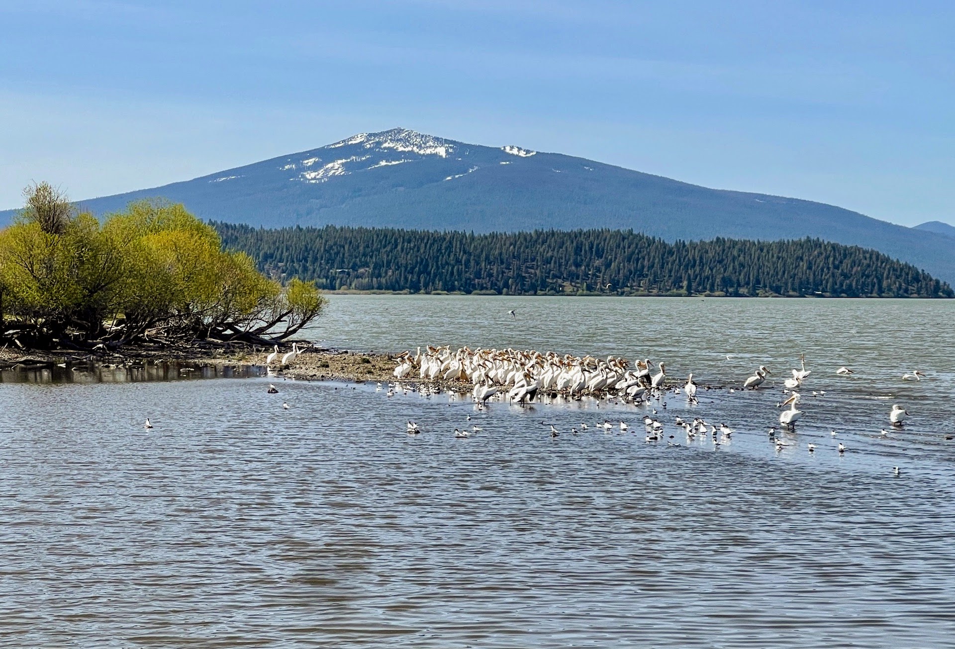 Rock Creek Ranch property picture 64 of 106