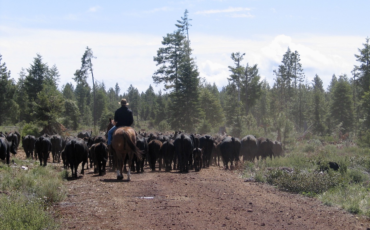 Rock Creek Ranch property picture 59 of 106