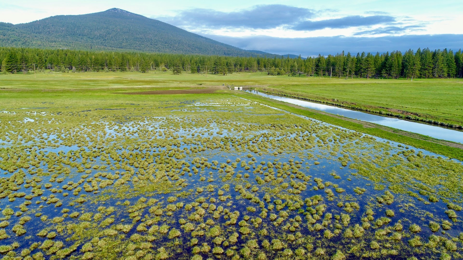 Rock Creek Ranch property picture 6 of 106