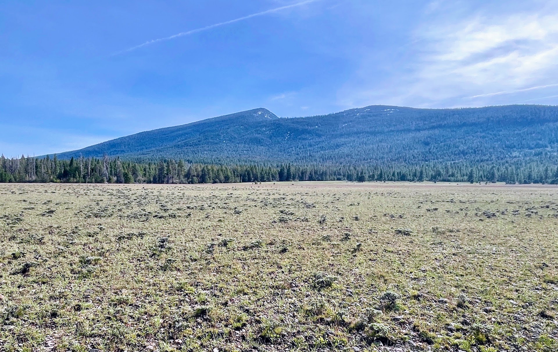 Rock Creek Ranch property picture 53 of 106