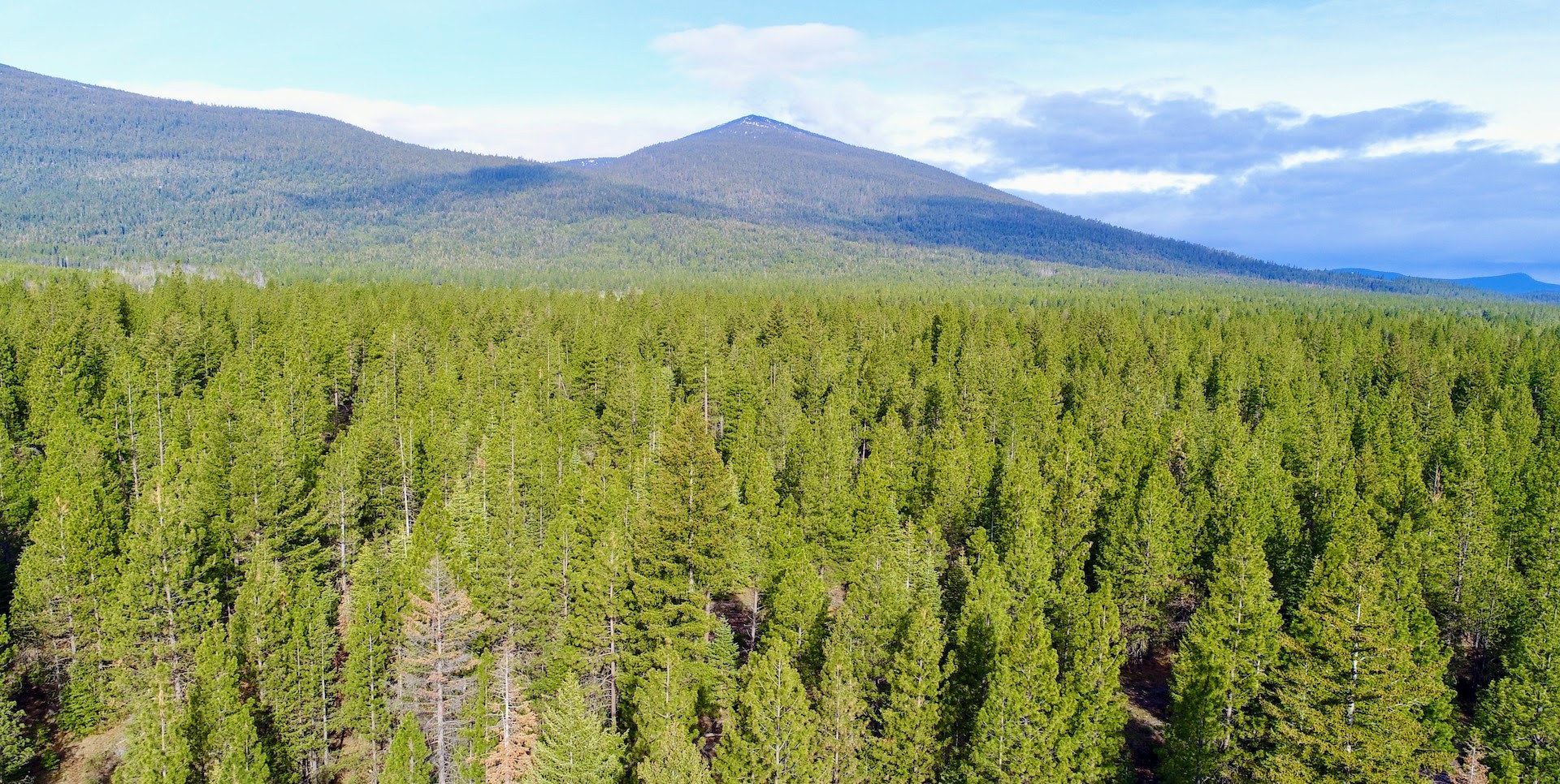 Rock Creek Ranch property picture 9 of 106