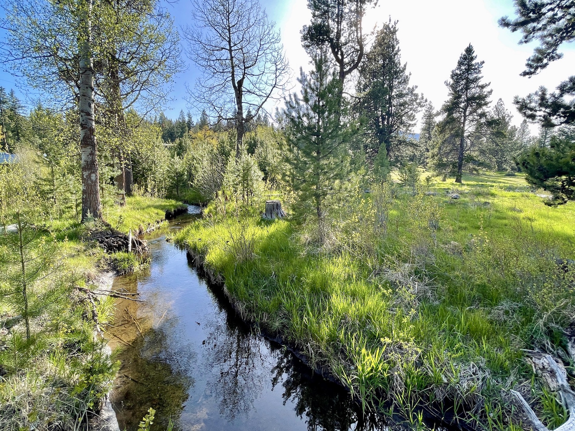 Rock Creek Ranch property picture 66 of 106