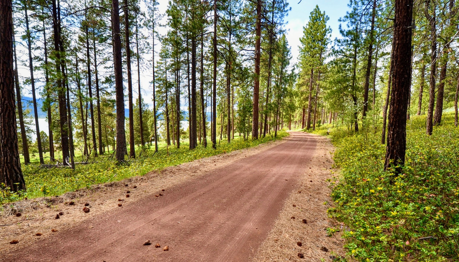 Rock Creek Ranch property picture 72 of 106