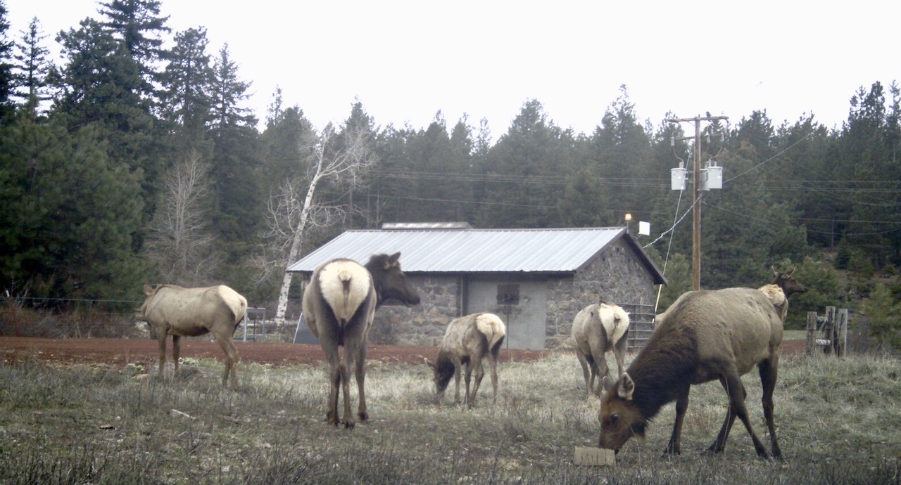 Rock Creek Ranch property picture 60 of 106