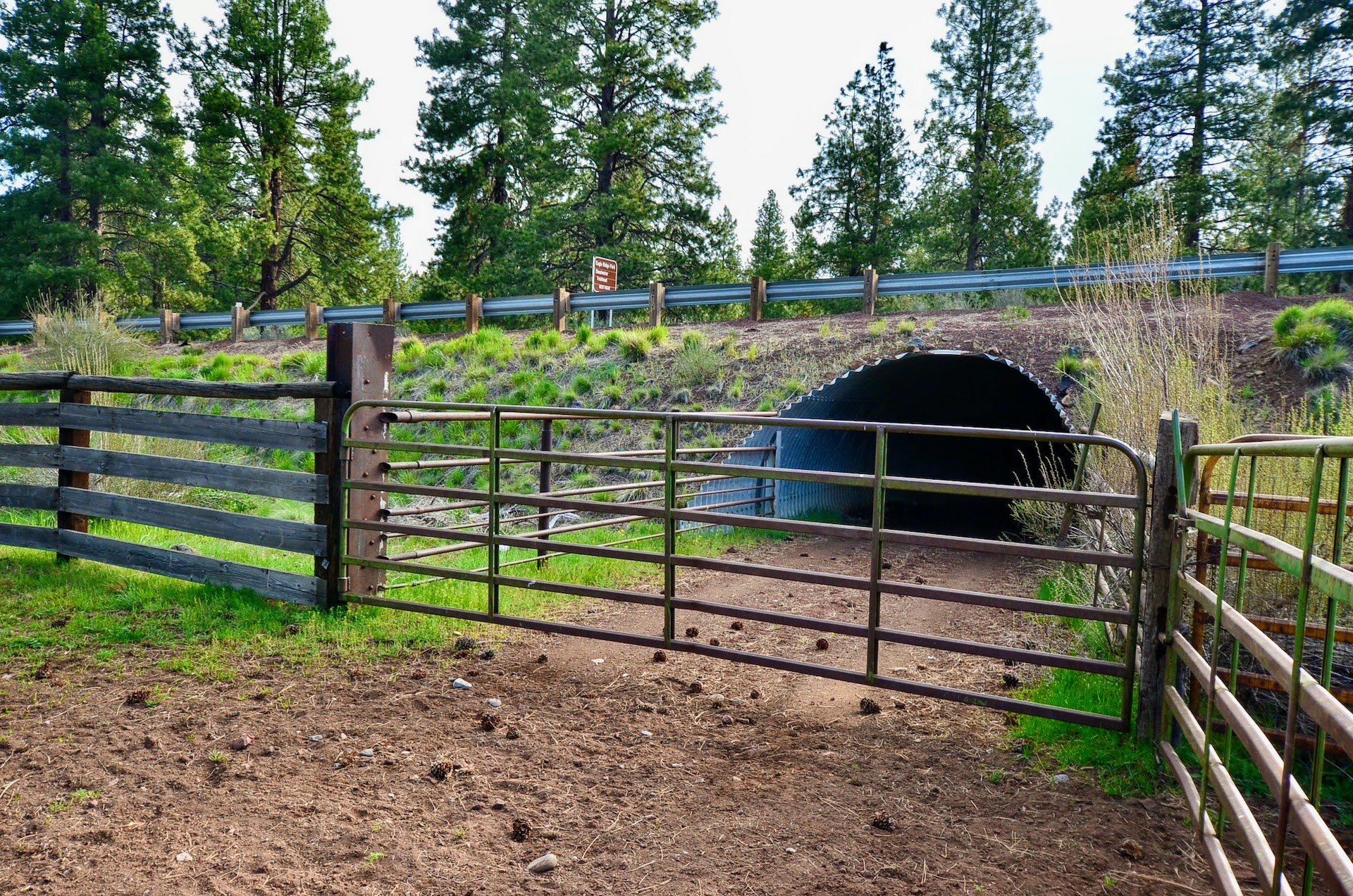 Rock Creek Ranch property picture 49 of 106