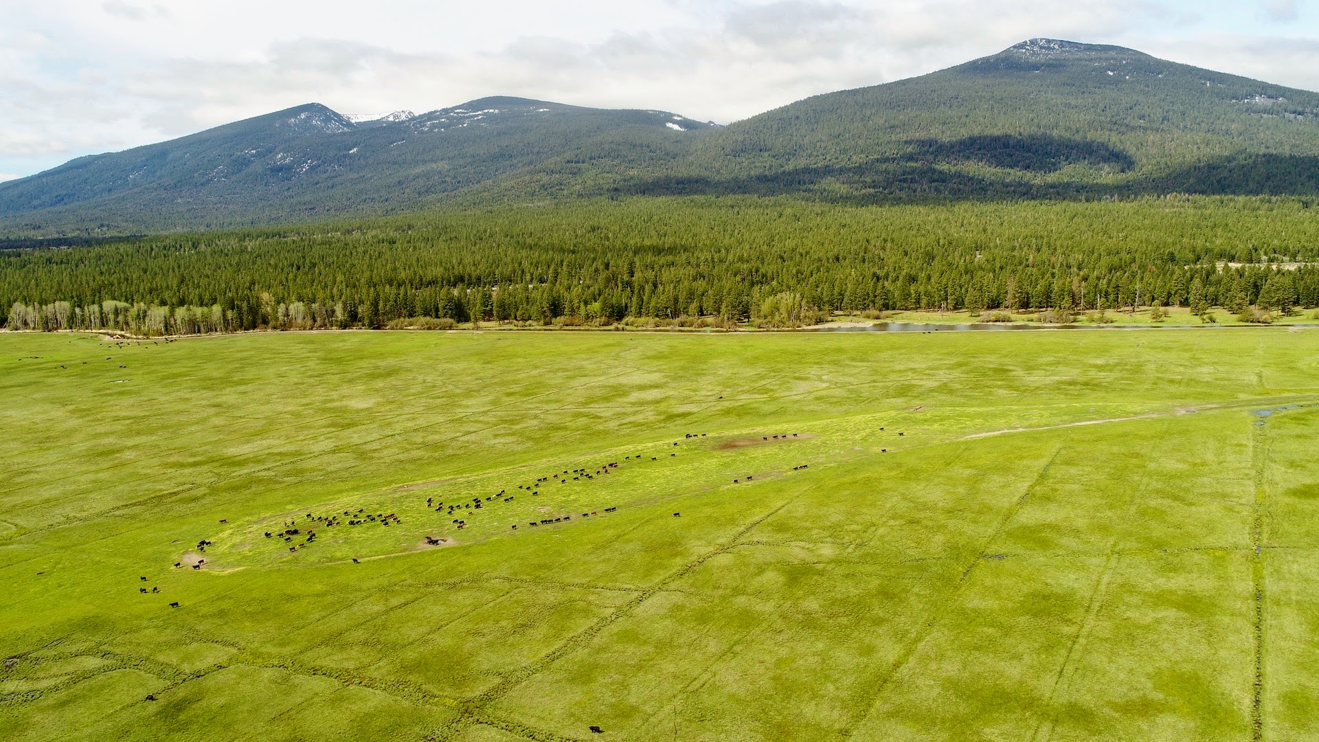 Rock Creek Ranch property picture 18 of 106