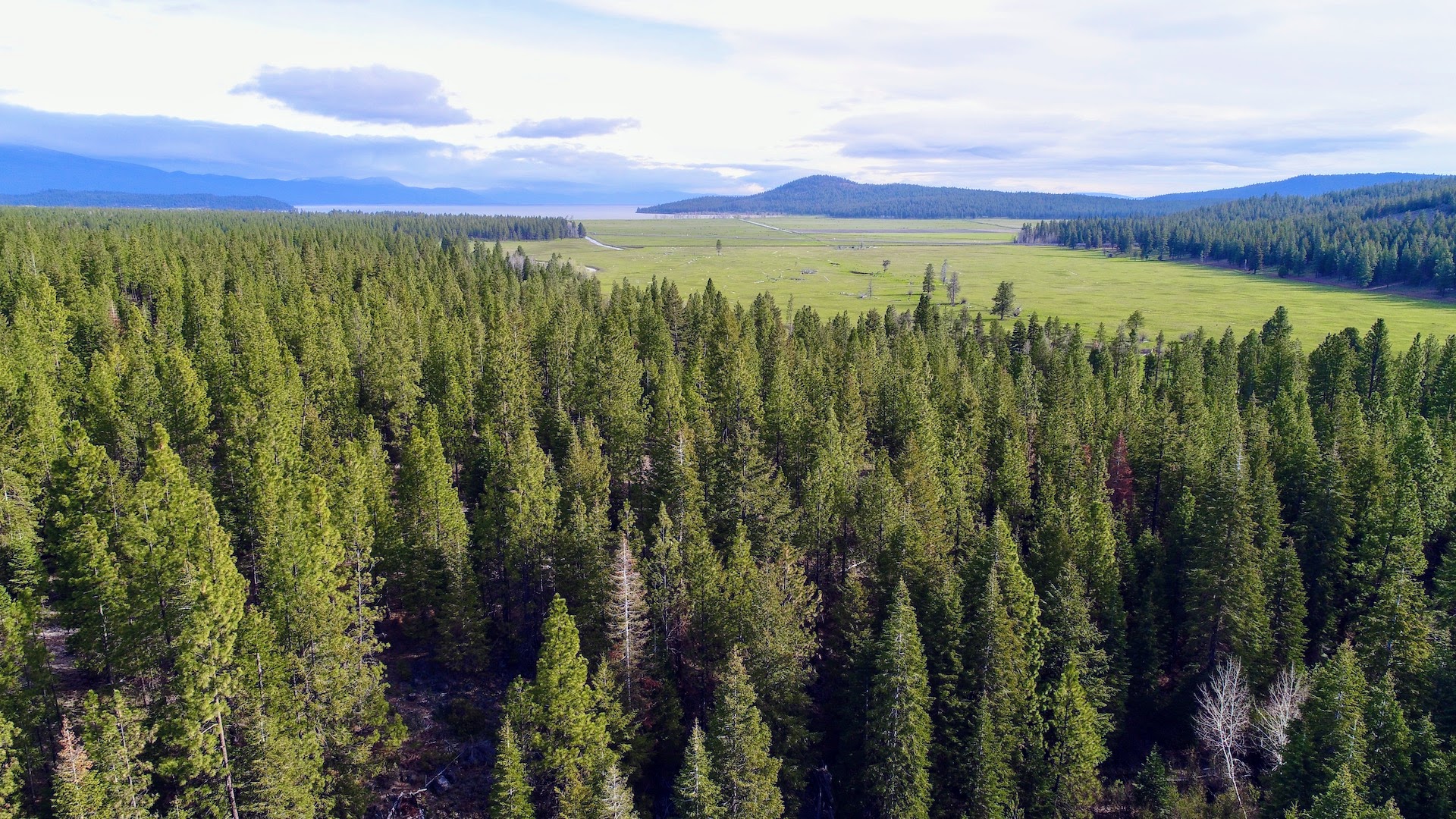 Rock Creek Ranch property picture 8 of 106