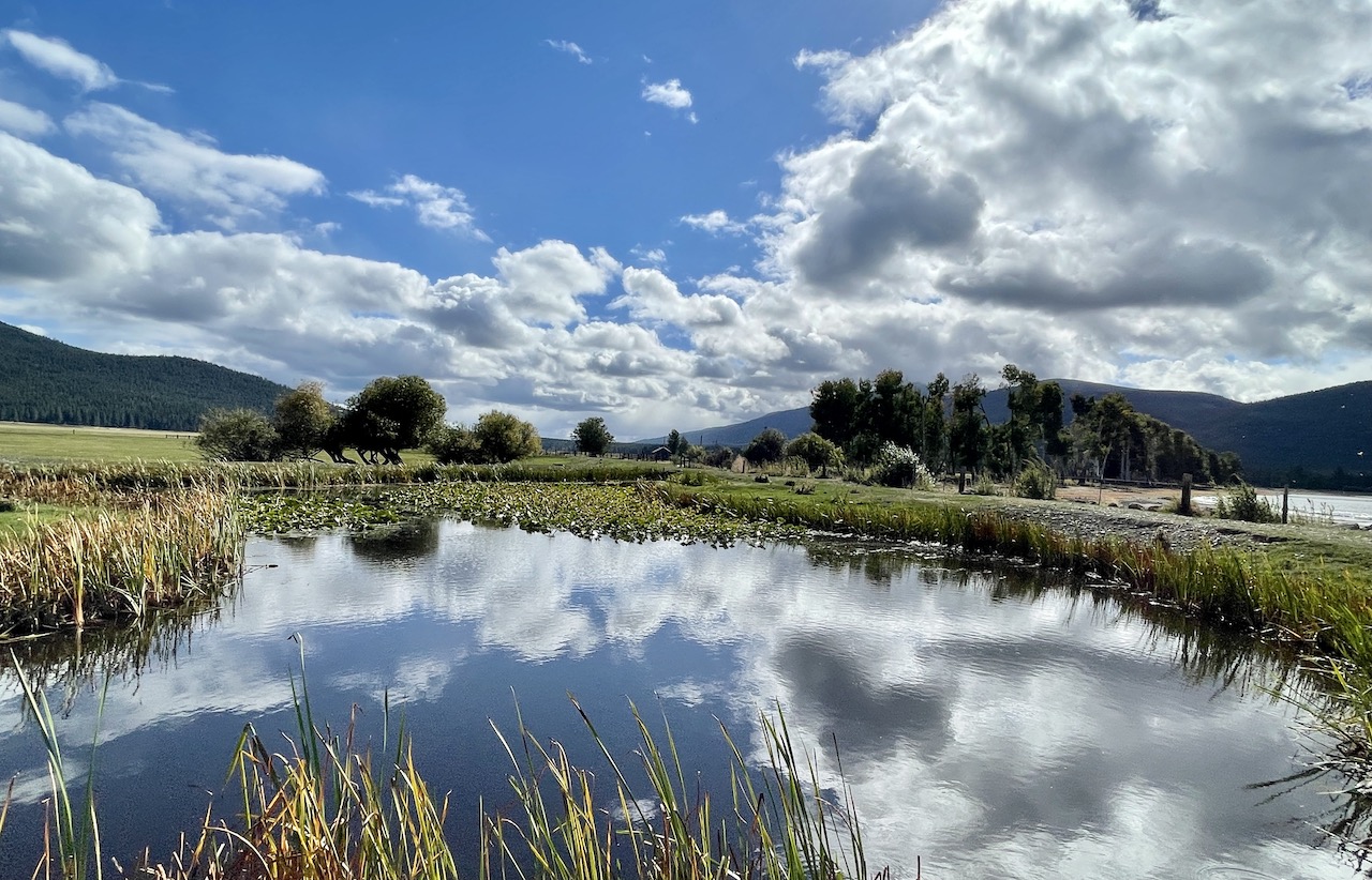 Rock Creek Ranch property picture 71 of 106