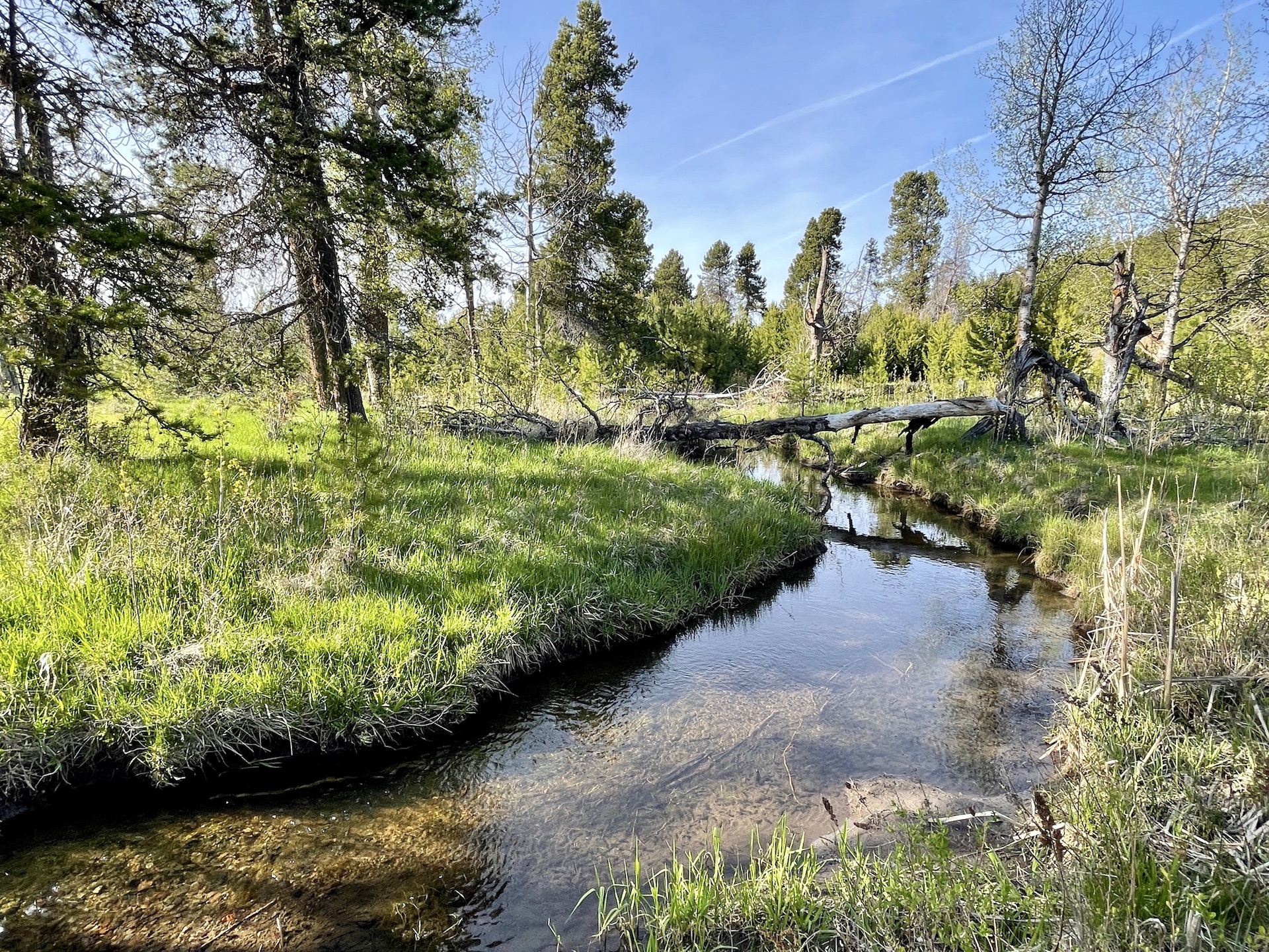 Rock Creek Ranch property picture 68 of 106