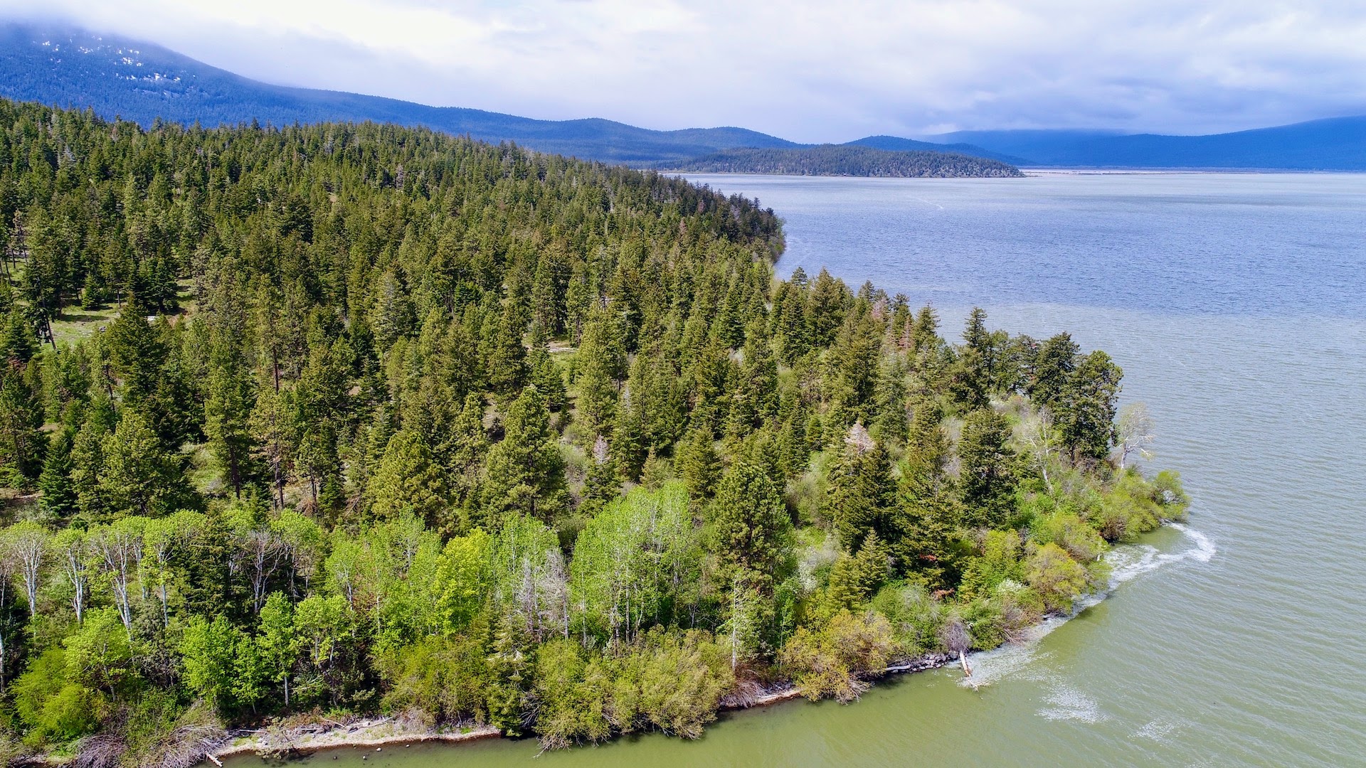 Rock Creek Ranch property picture 20 of 106