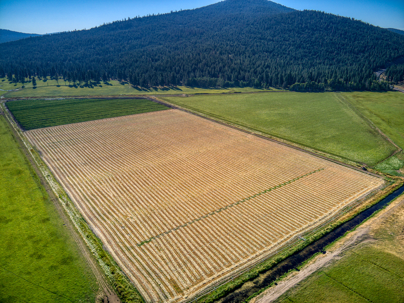 Rock Creek Ranch property picture 85 of 106