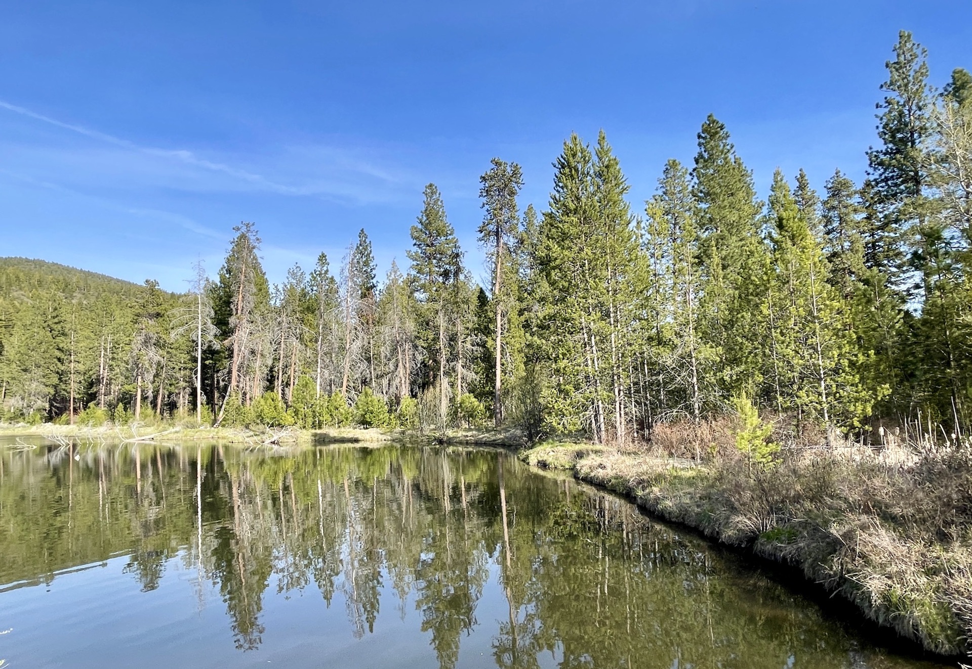 Rock Creek Ranch property picture 69 of 106