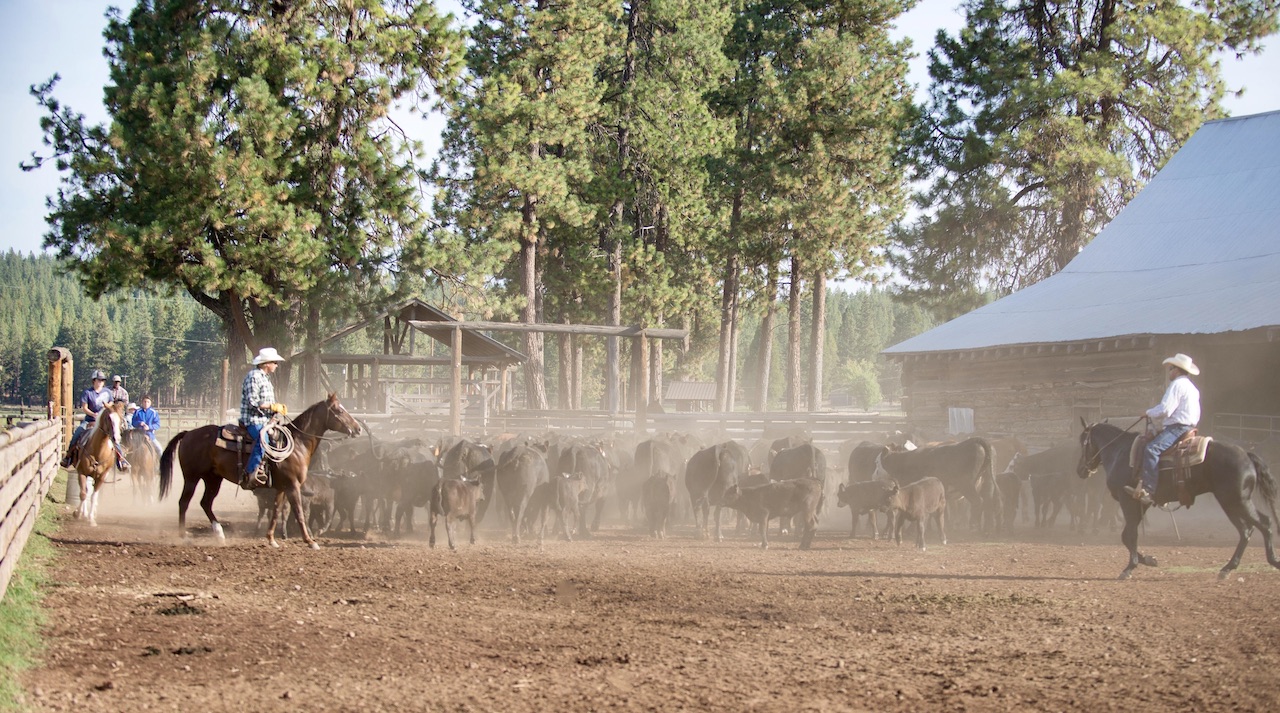 Rock Creek Ranch property picture 58 of 106