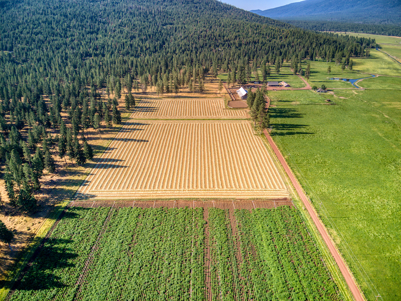 Rock Creek Ranch property picture 83 of 106