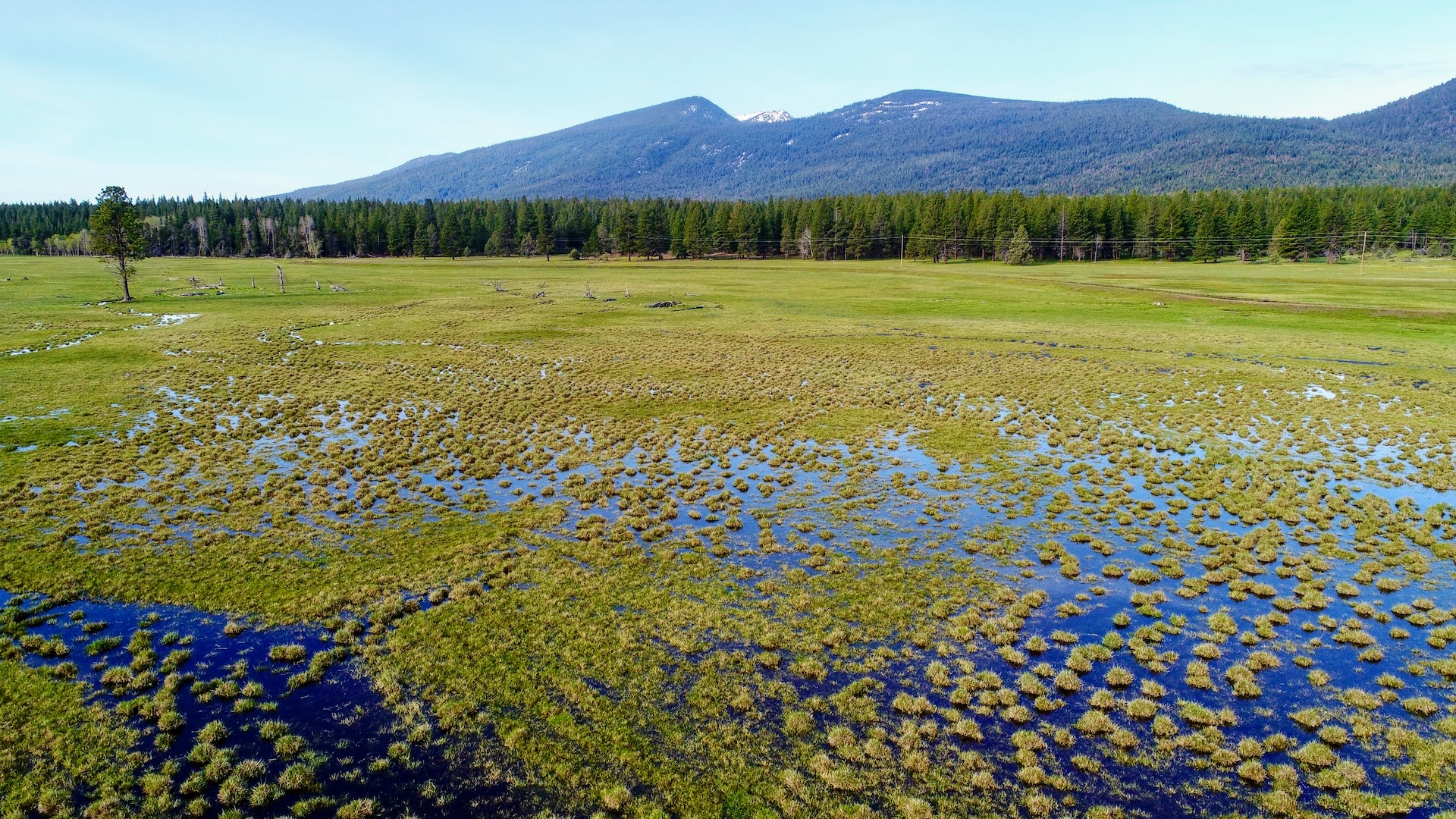 Rock Creek Ranch property picture 5 of 106