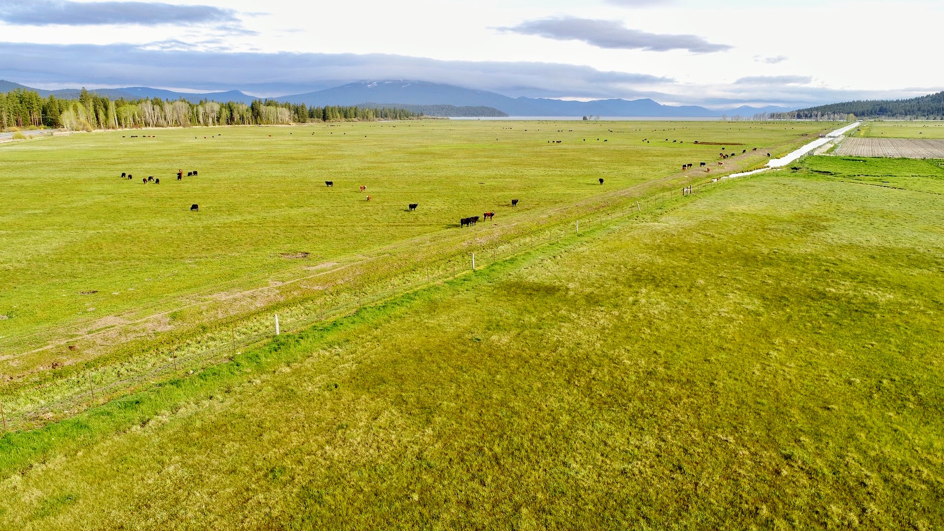 Rock Creek Ranch property picture 4 of 106