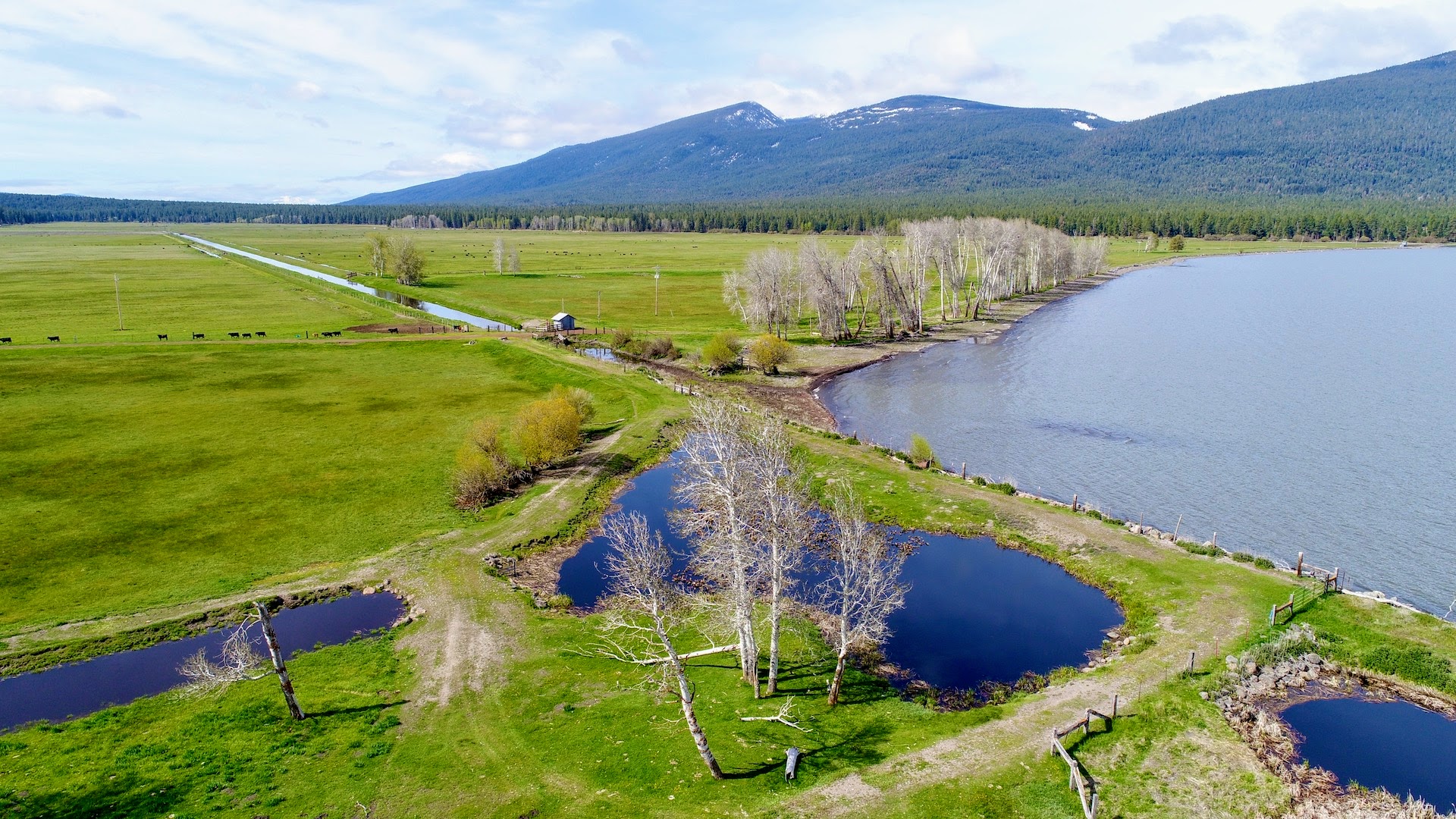 Rock Creek Ranch property picture 13 of 106