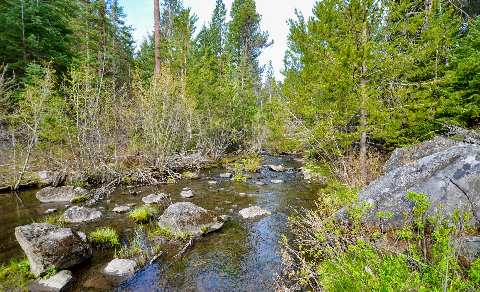 Rock Creek Ranch property picture 67 of 106