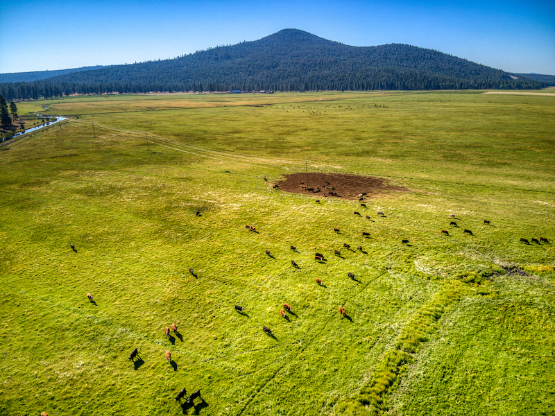 Rock Creek Ranch property picture 97 of 106