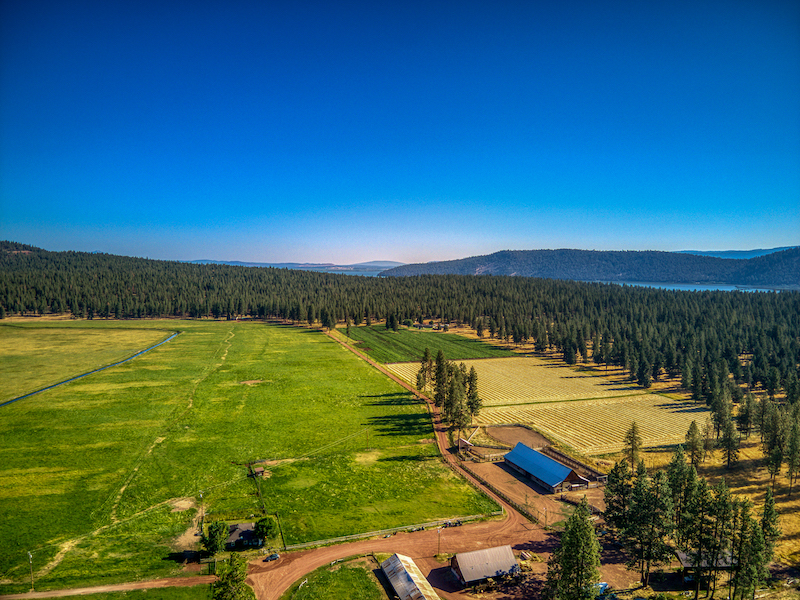 Rock Creek Ranch property picture 101 of 106