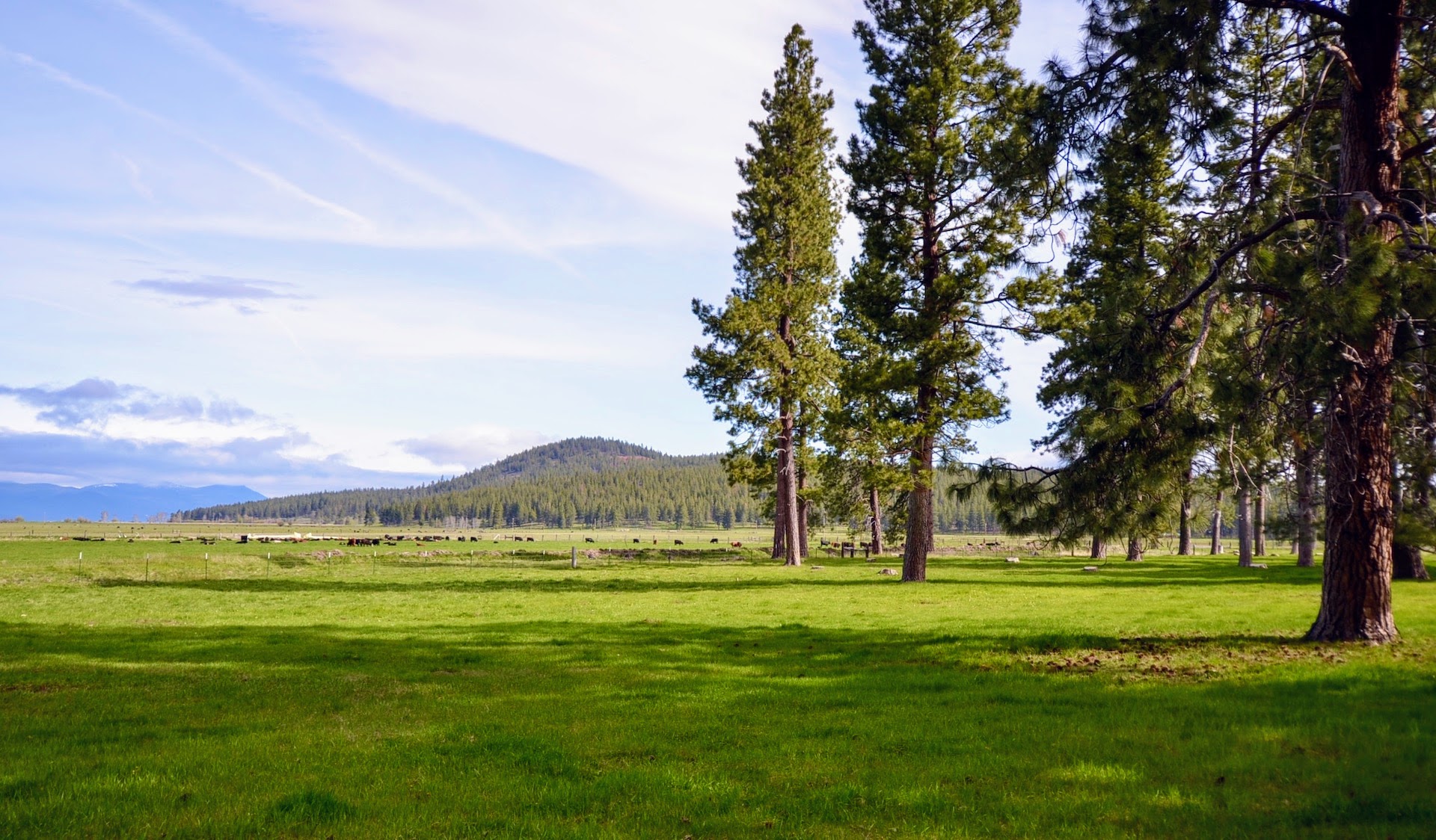 Rock Creek Ranch property picture 23 of 106