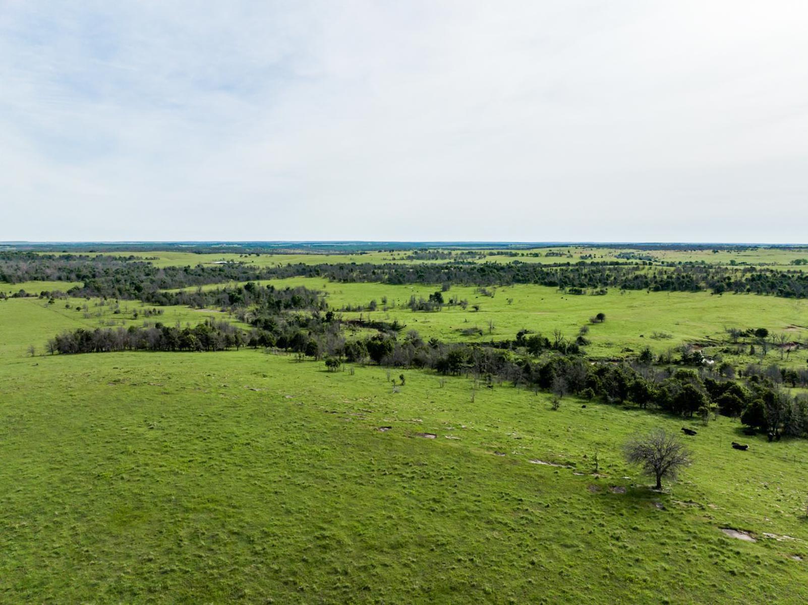 Five Star Legacy Ranch property picture 111 of 123