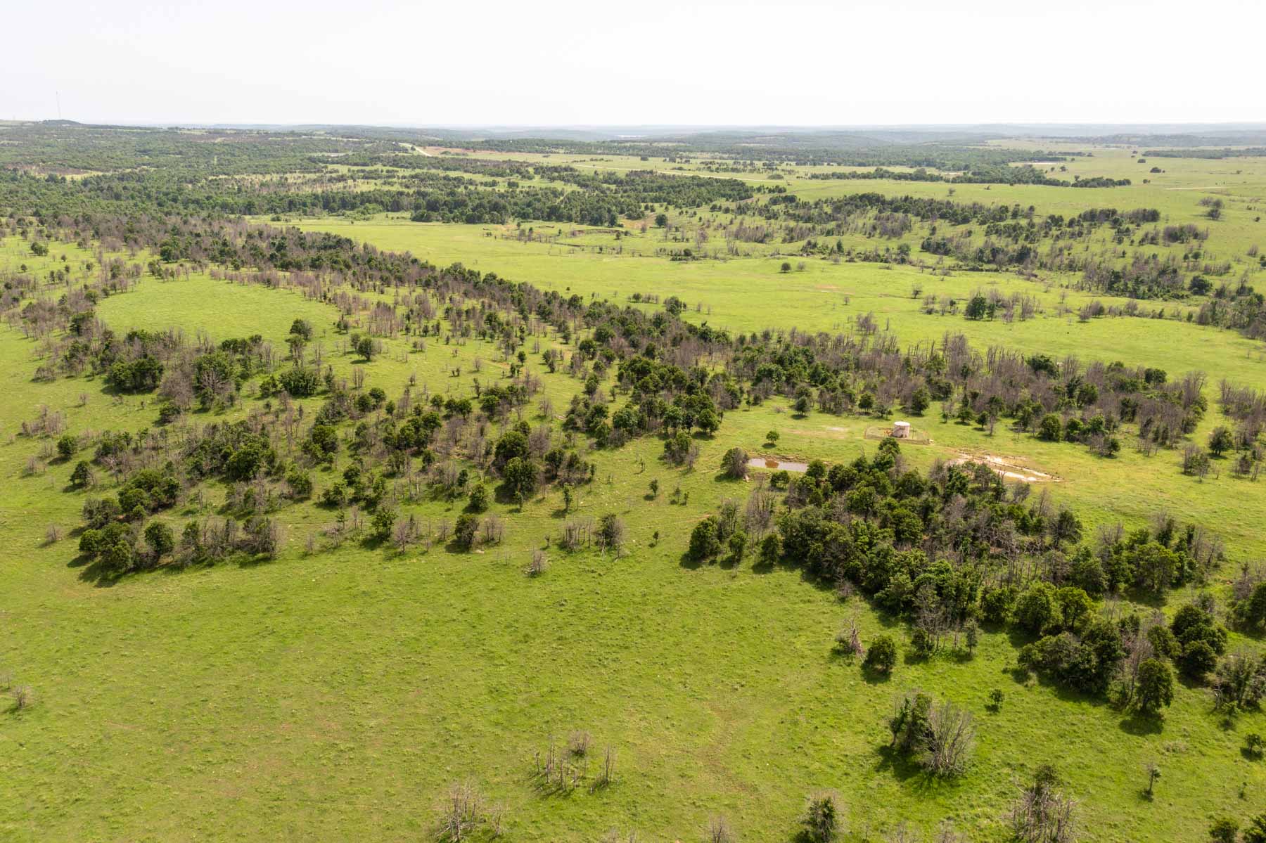 Five Star Legacy Ranch property picture 71 of 123