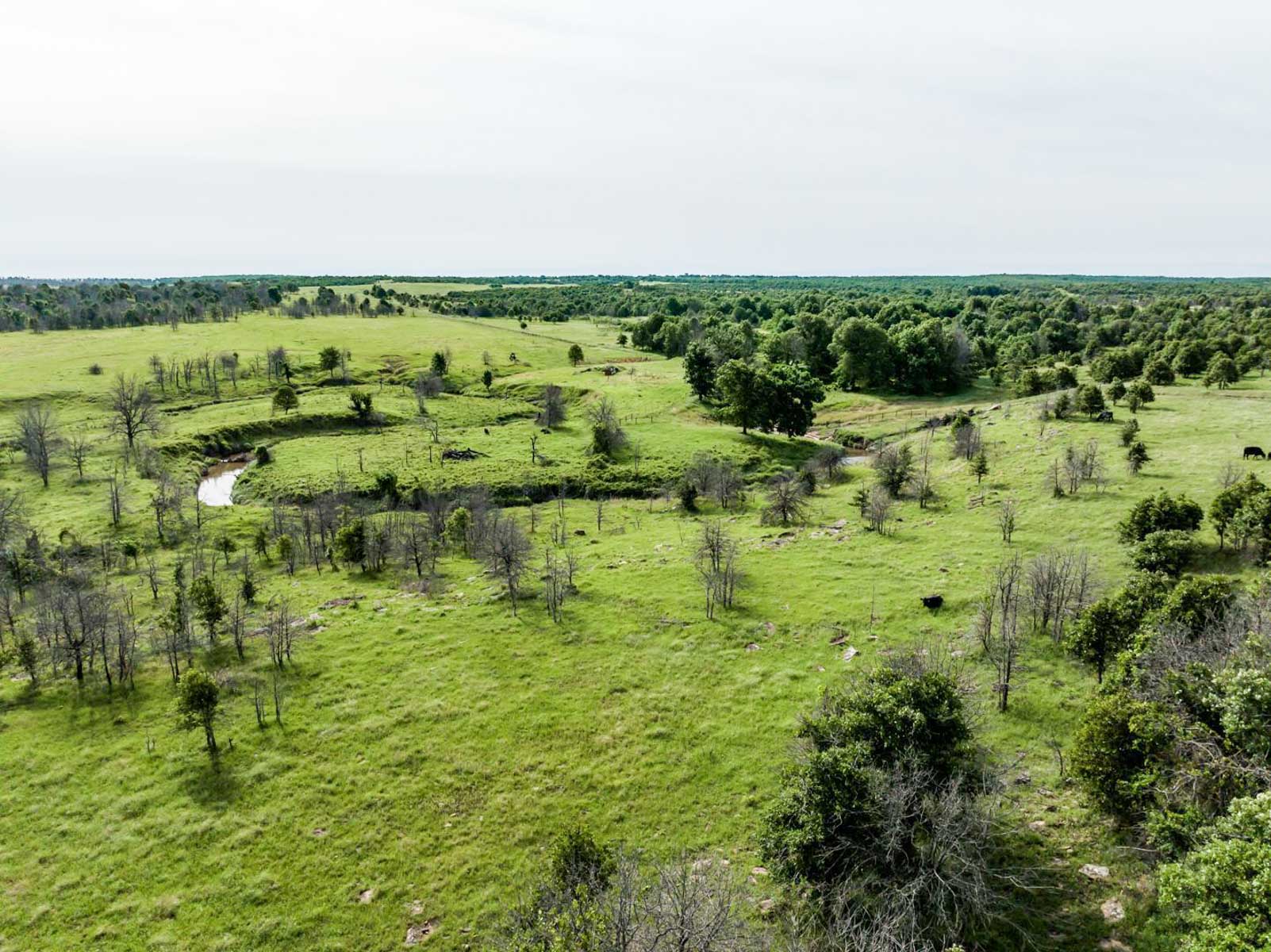 Five Star Legacy Ranch property picture 114 of 123