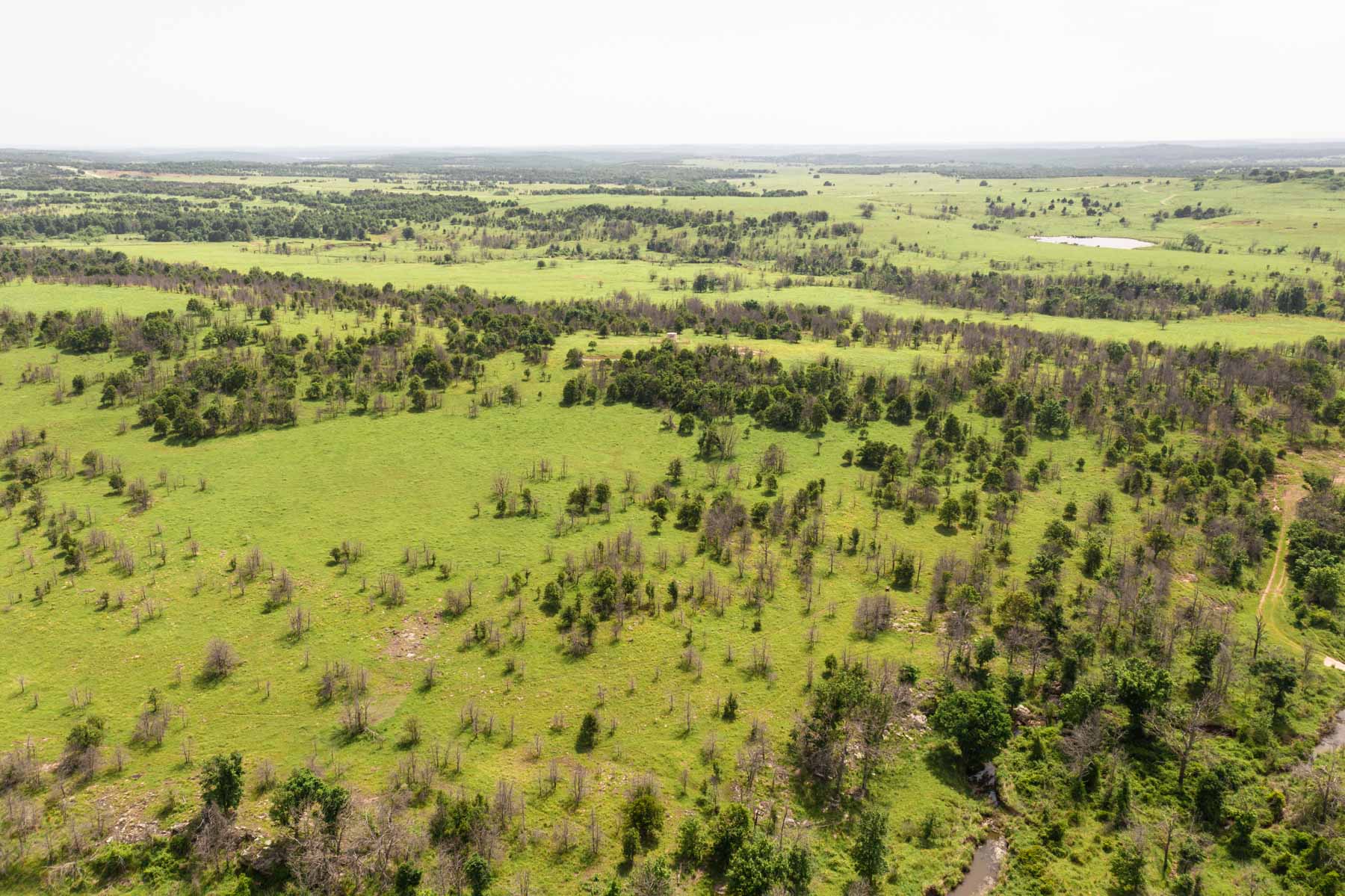 Five Star Legacy Ranch property picture 69 of 123