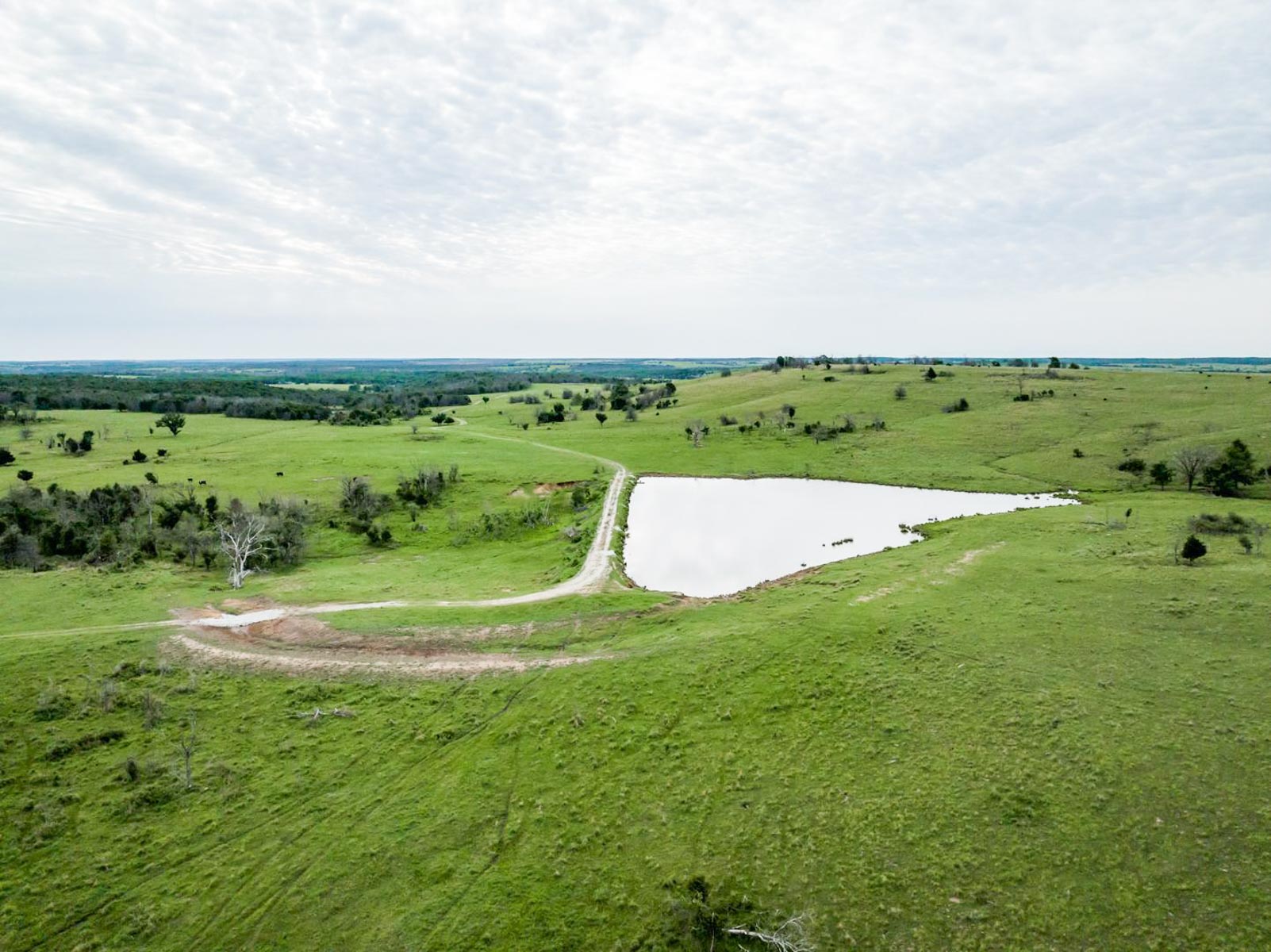 Five Star Legacy Ranch property picture 100 of 123