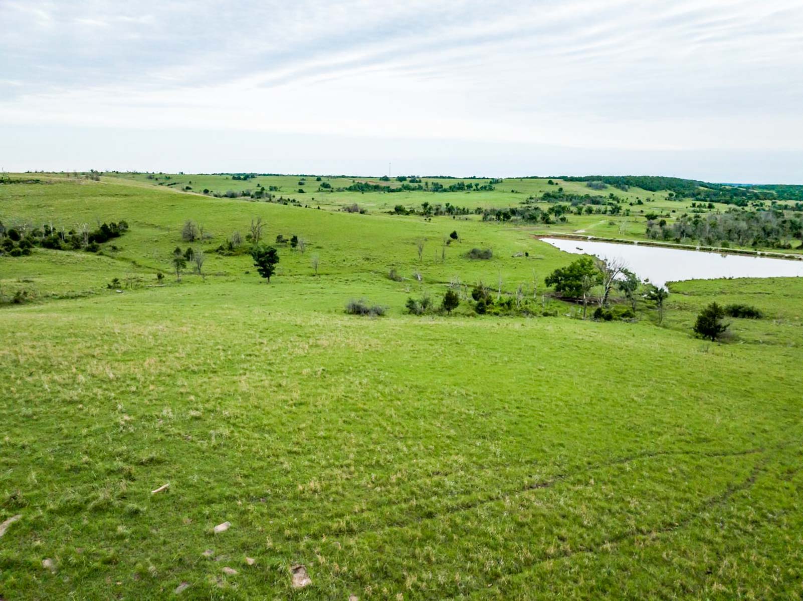 Five Star Legacy Ranch property picture 97 of 123
