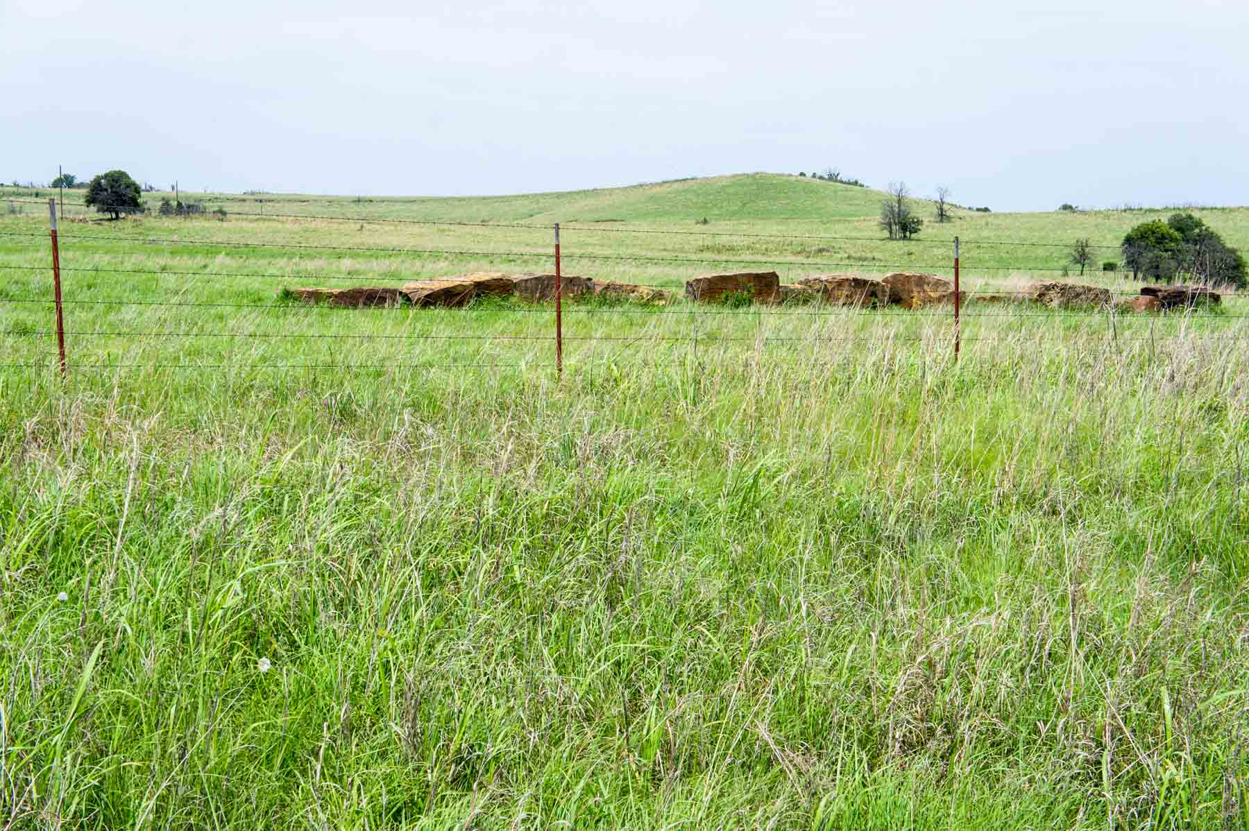 Five Star Legacy Ranch property picture 17 of 123