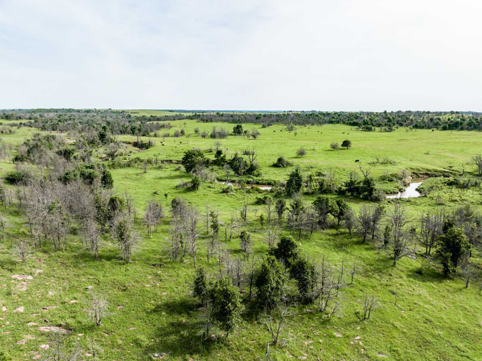 Five Star Legacy Ranch property picture 113 of 123