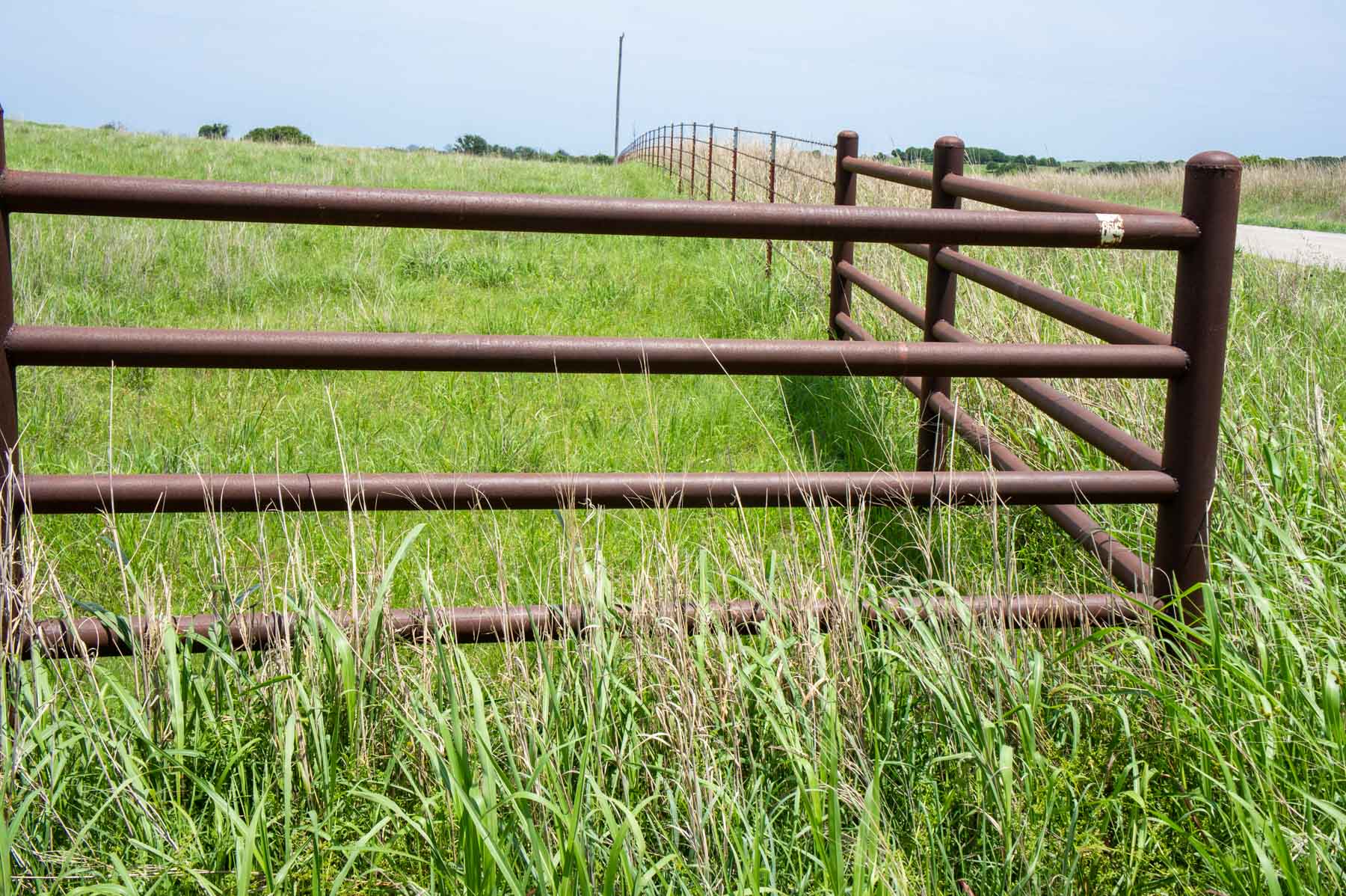 Five Star Legacy Ranch property picture 40 of 123