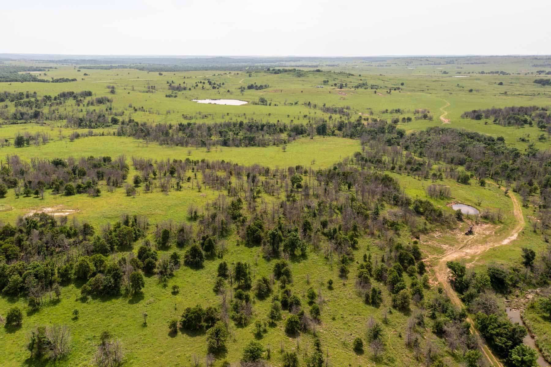 Five Star Legacy Ranch property picture 24 of 123