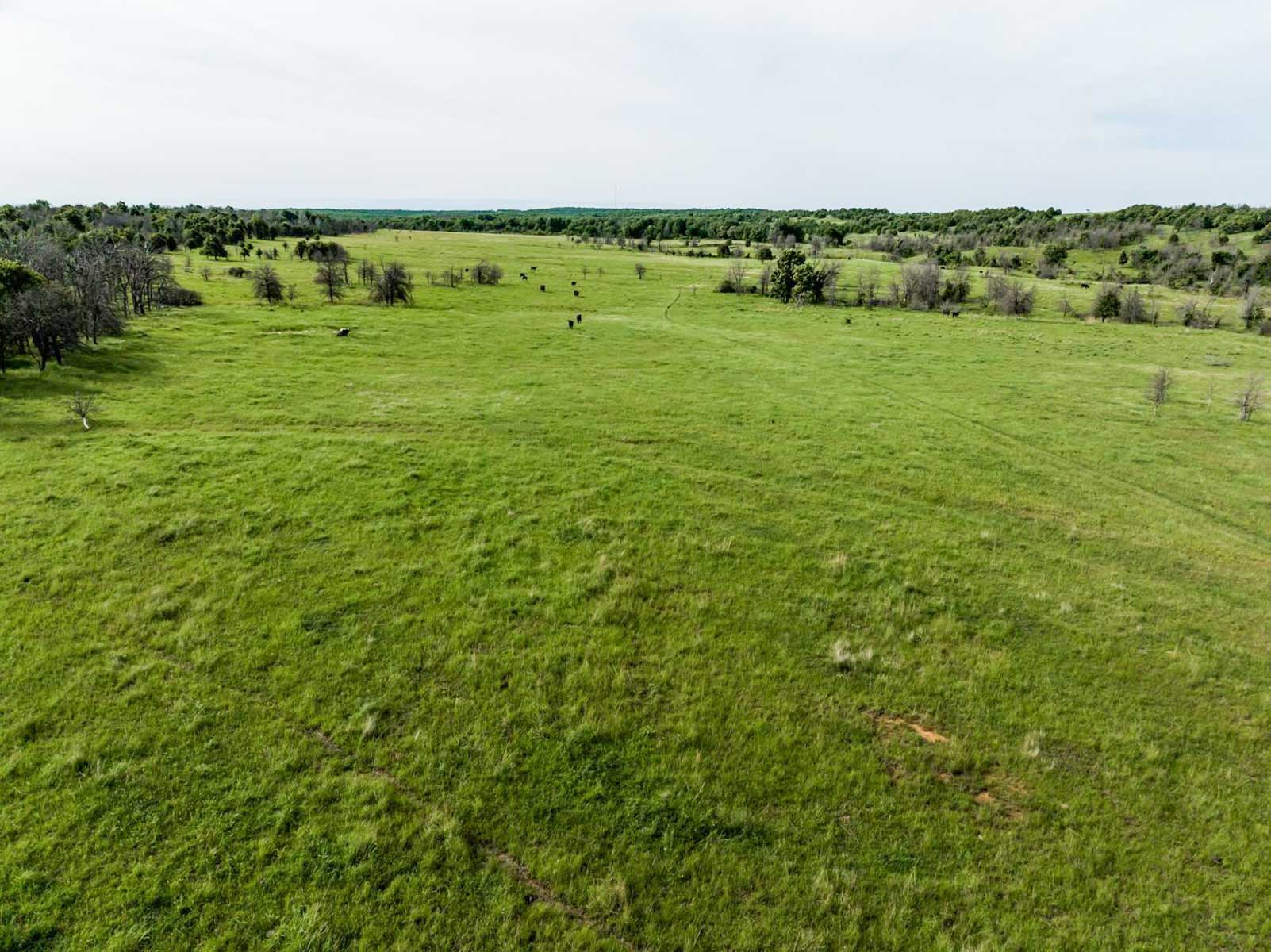 Five Star Legacy Ranch property picture 116 of 123