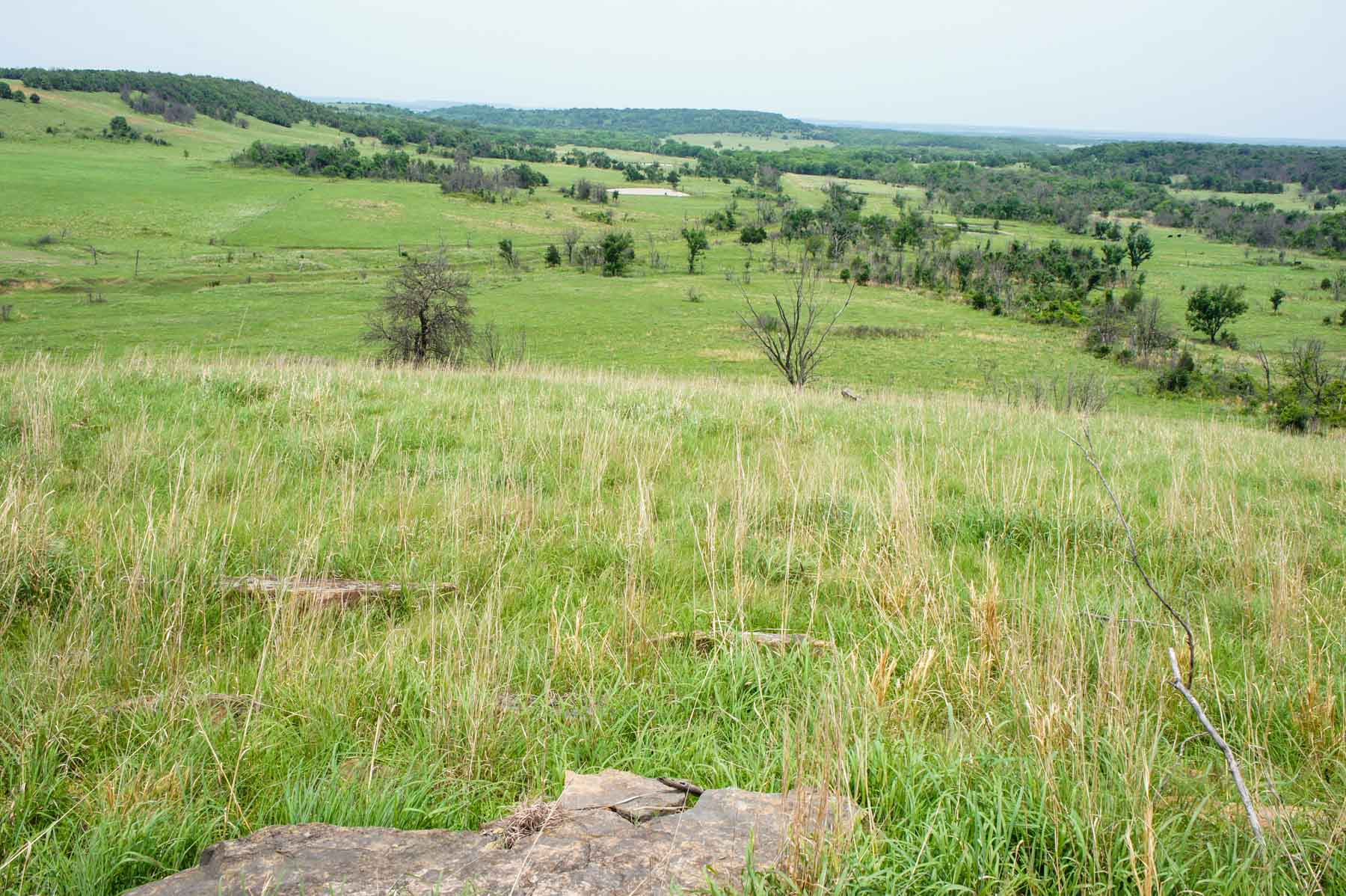 Five Star Legacy Ranch property picture 34 of 123