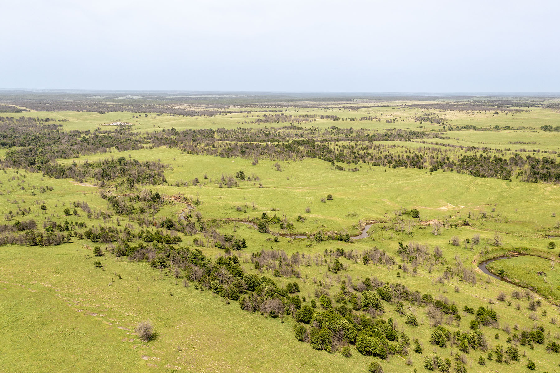 Five Star Legacy Ranch property picture 123 of 123