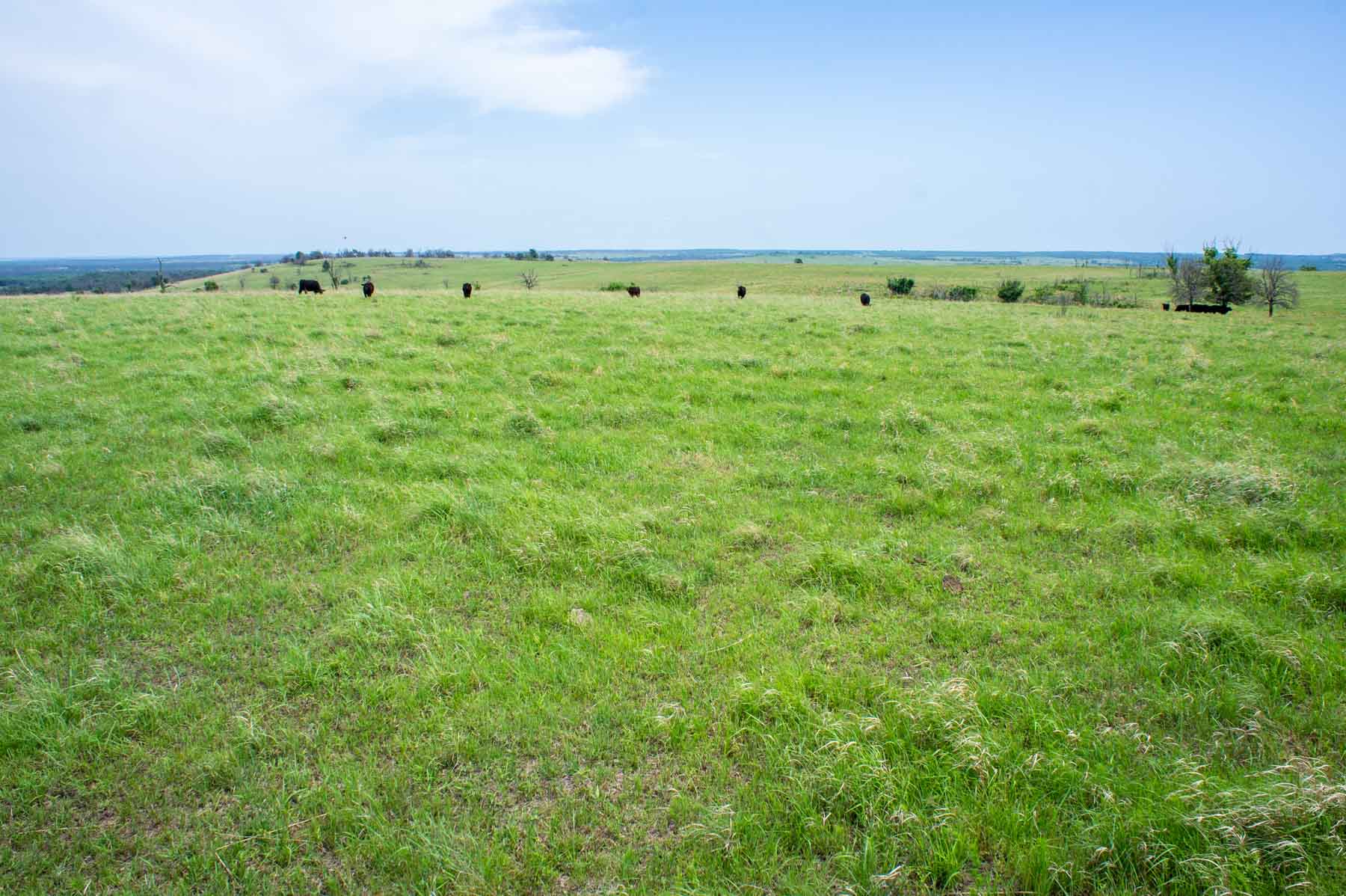 Five Star Legacy Ranch property picture 3 of 123