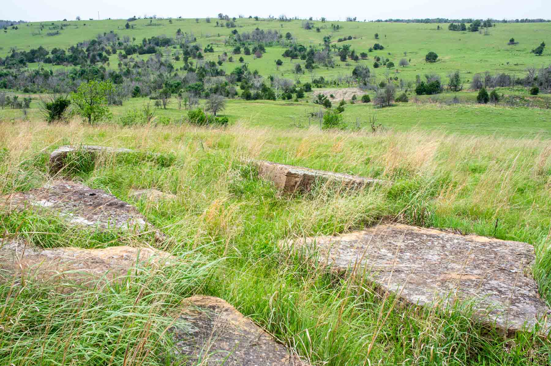 Five Star Legacy Ranch property picture 33 of 123