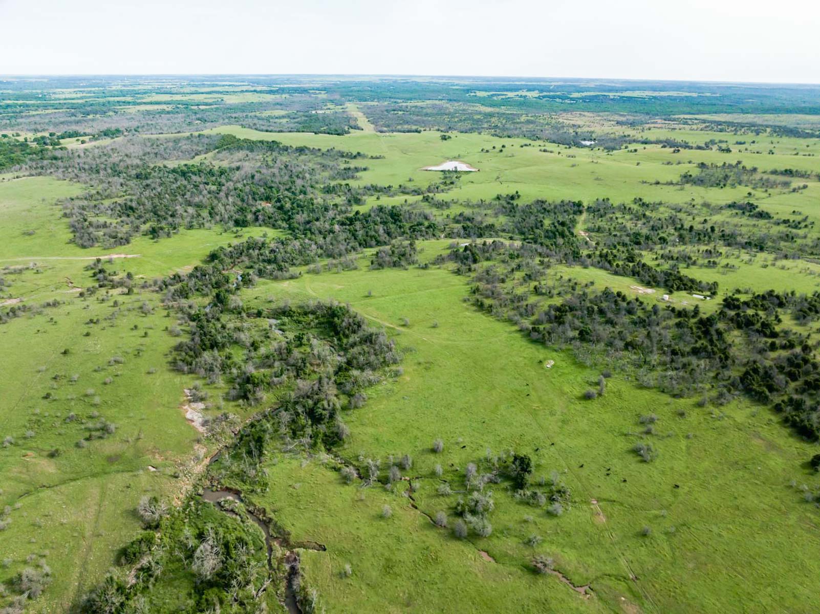 Five Star Legacy Ranch property picture 76 of 123